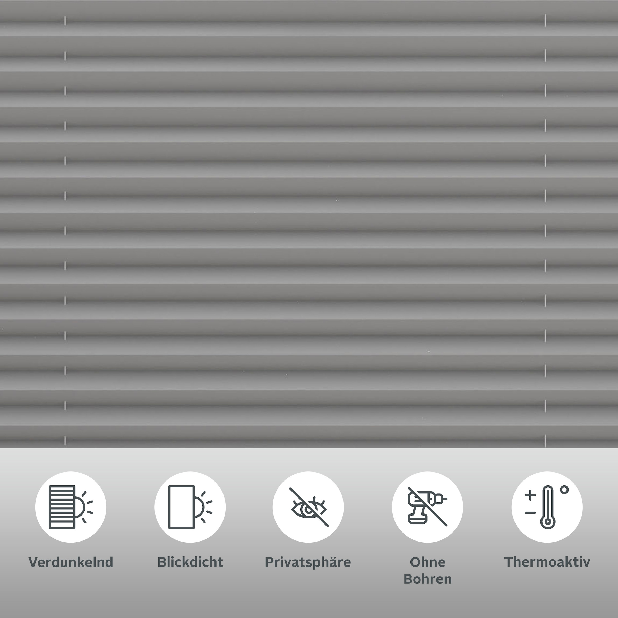 my home Plissee »Marei Thermo«, verdunkelnd, Perlreflex-beschichtet-energie günstig online kaufen