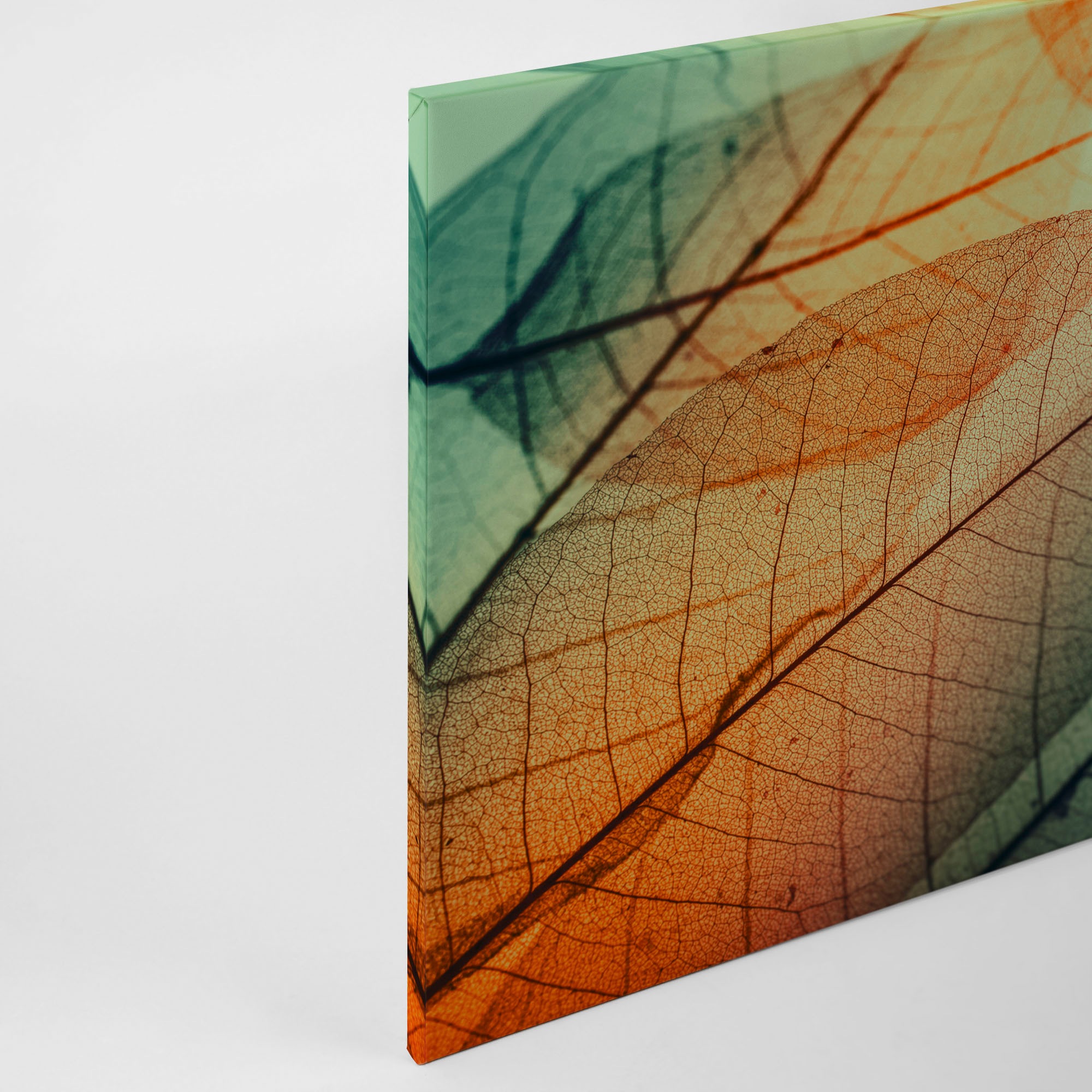 A.S. Création Leinwandbild »Limpid Leaf«, Kunst-Natur-Kinder, (1 St.), Keilrahmen Moderne Blätter Bunt Leinwand-Bild Wohnzimmer modern Kinder