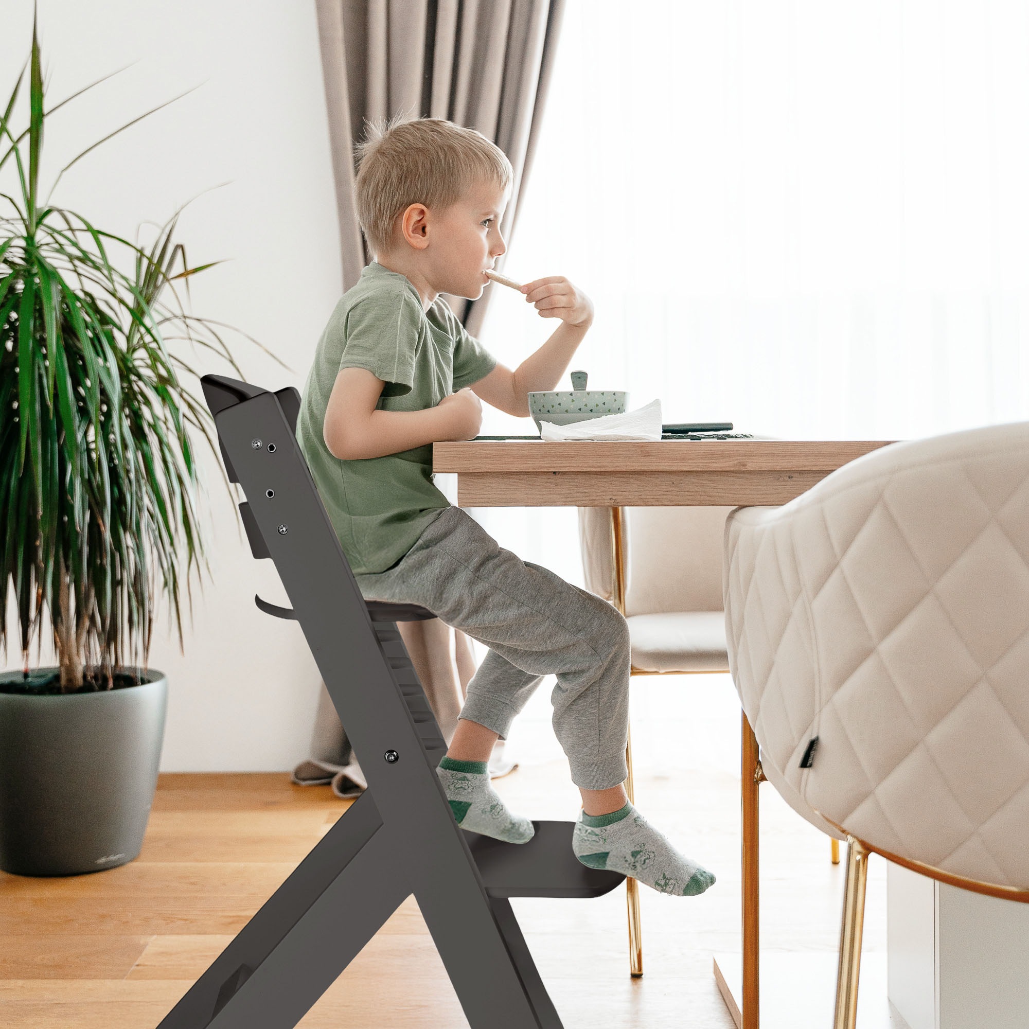 BabyGo Hochstuhl »Family Pro« ()