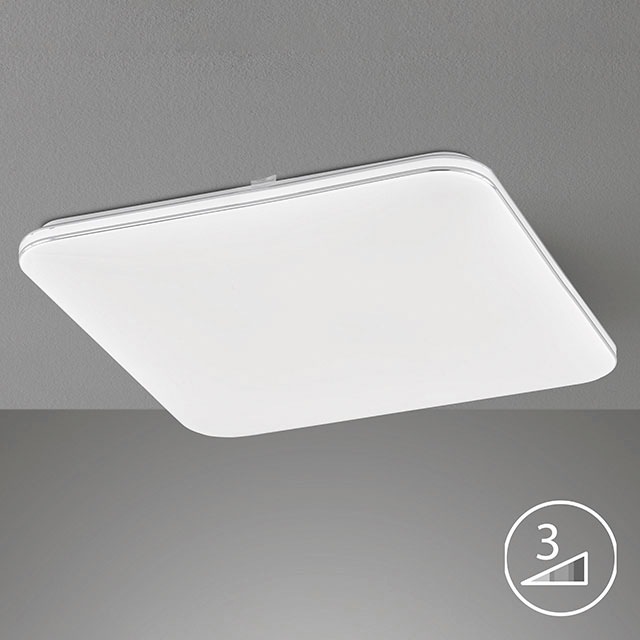 FISCHER & HONSEL LED Deckenleuchte »Porto«, 1 flammig, Leuchtmittel LED-Mod günstig online kaufen