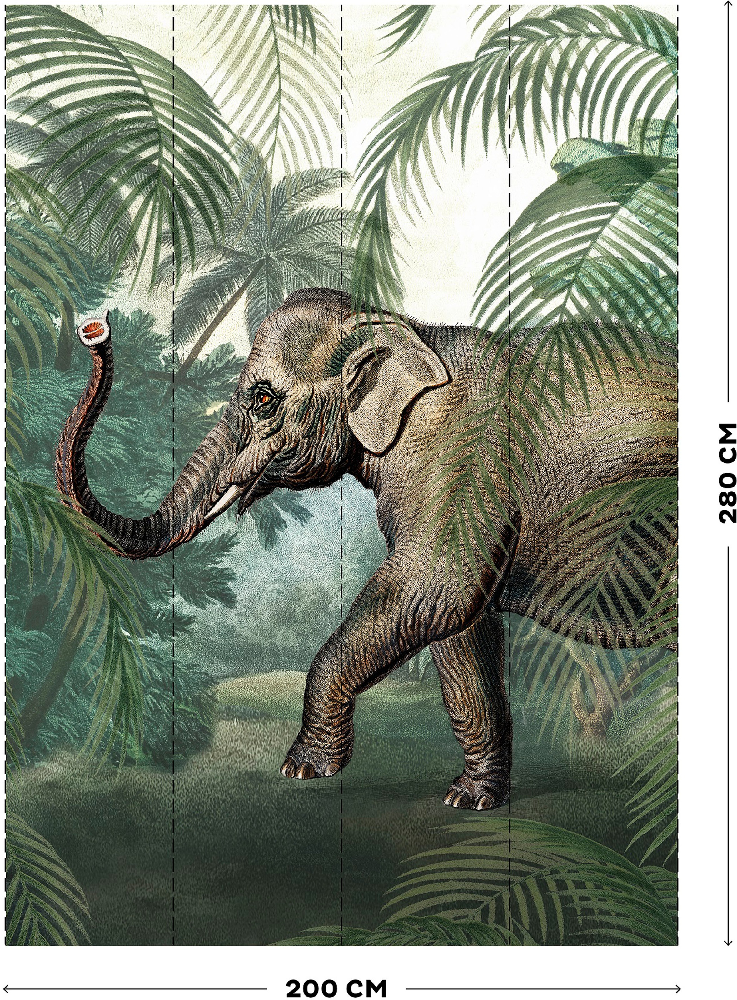 Art for the home Fototapete »Elefant«, animal print, 280x200cm