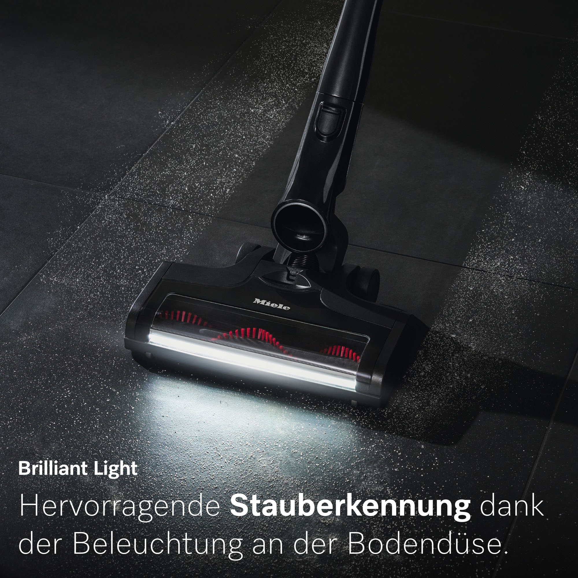 Miele Akku-Stielstaubsauger »Triflex HX3 Cat & Dog«