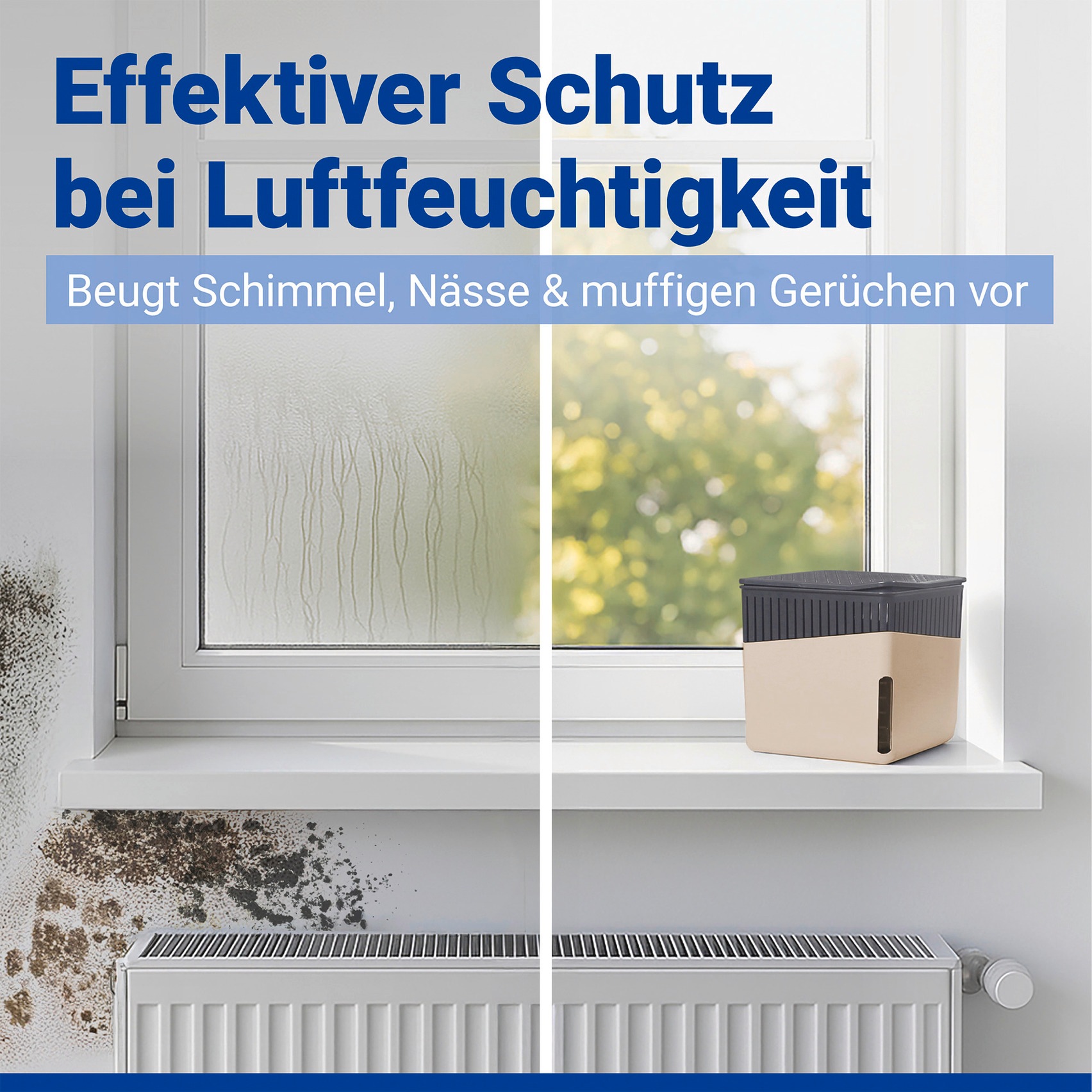 WENKO Luftentfeuchter »Cube« für 80 m³ Räume 1000 g günstig online kaufen