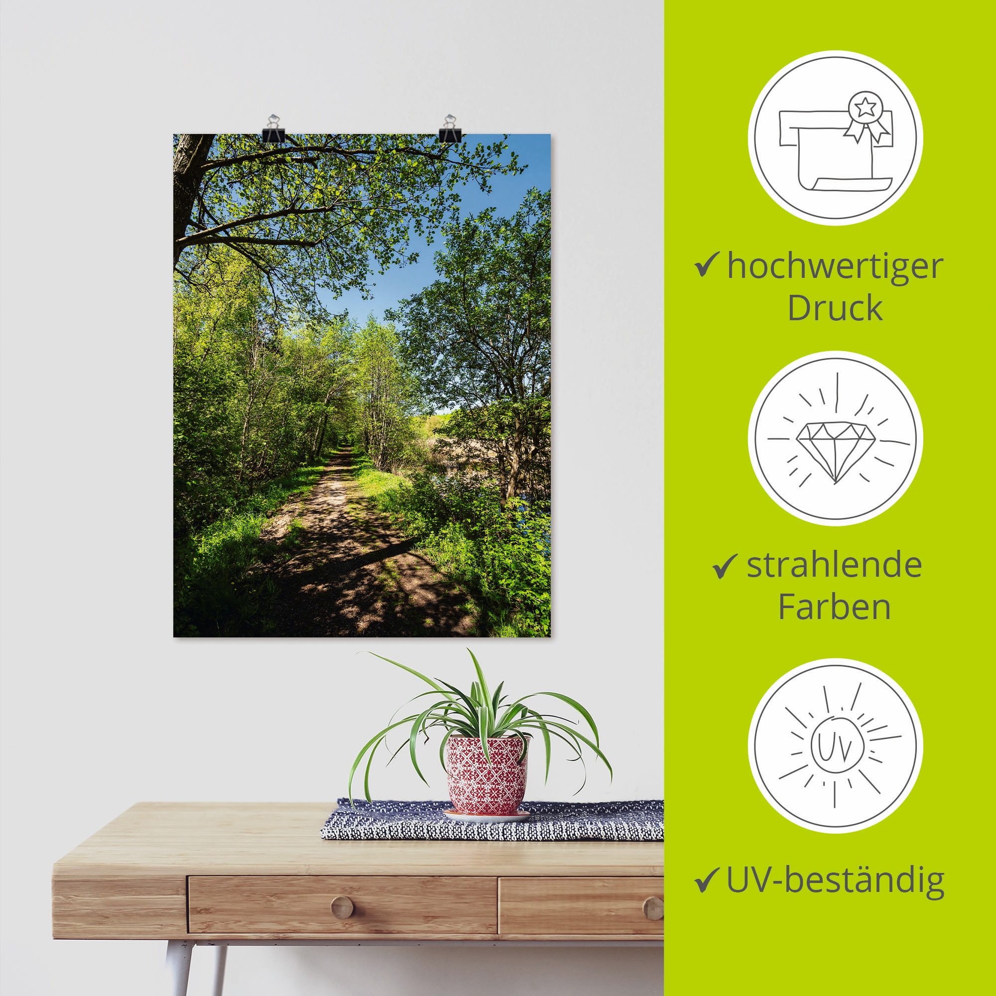 Artland Poster »Weg und Bäume bei Kuchelmiß« Waldbilder 1 Stk. tlg. ohne Rahmen