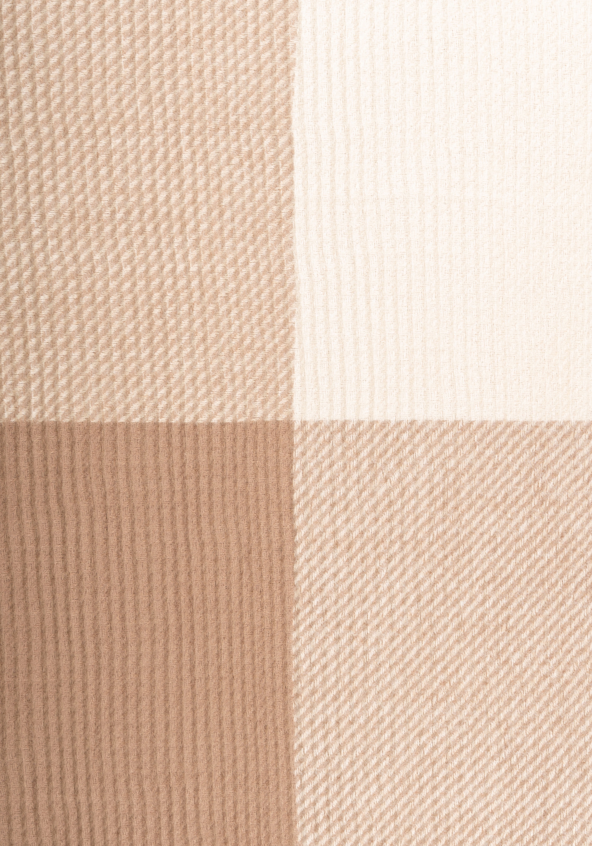 Capelli New York Modeschal tricolor, leichte Fransenkante, Farbverlauf