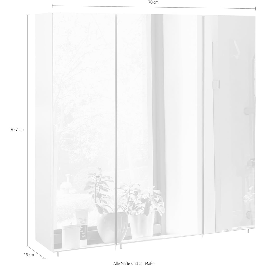 Schildmeyer Spiegelschrank »Basic«