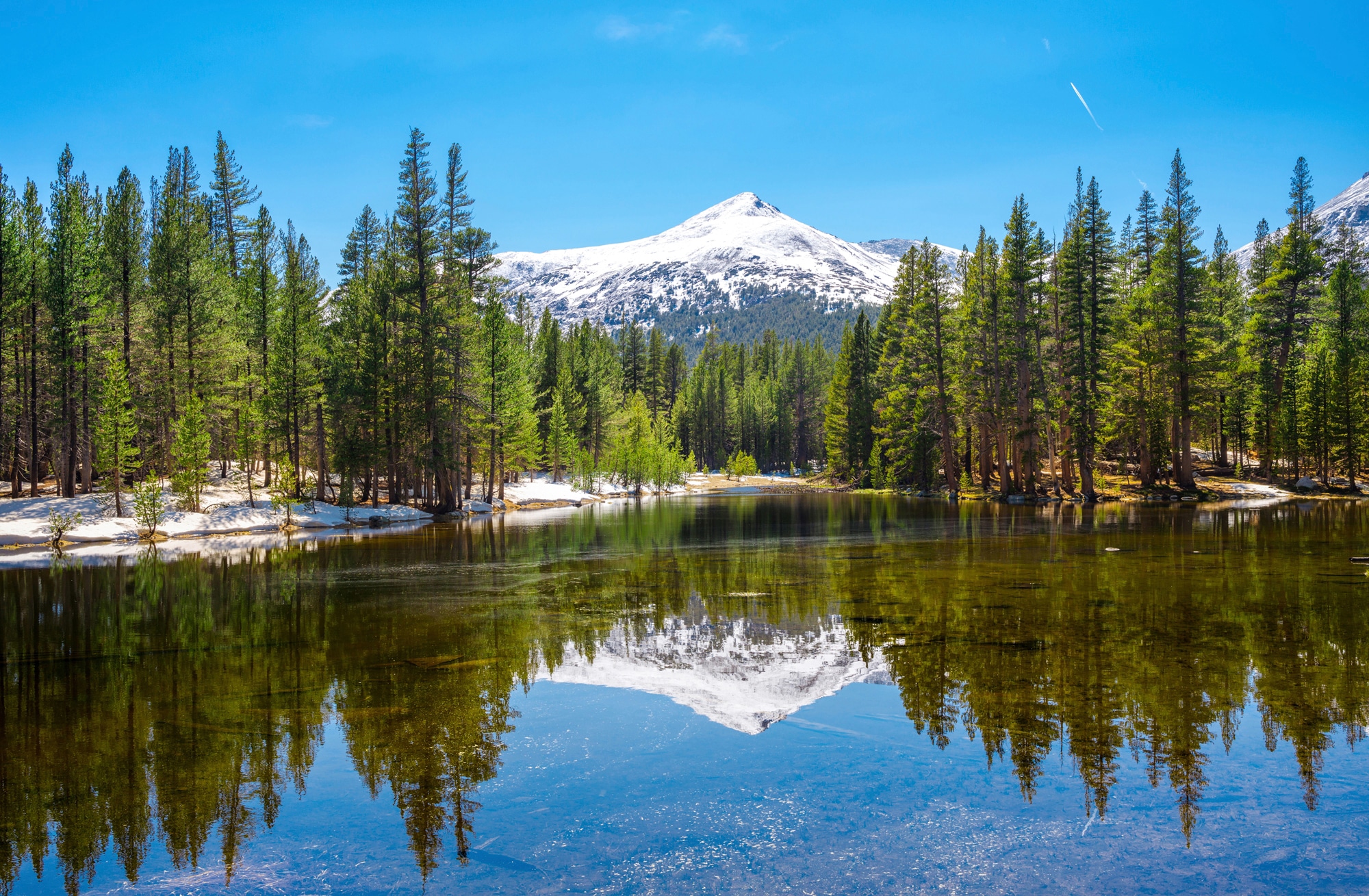 Papermoon Fototapete »YOSEMITE-SEE GEBIRGE BERGE ALPEN SONNE WALD BÄUME« günstig online kaufen