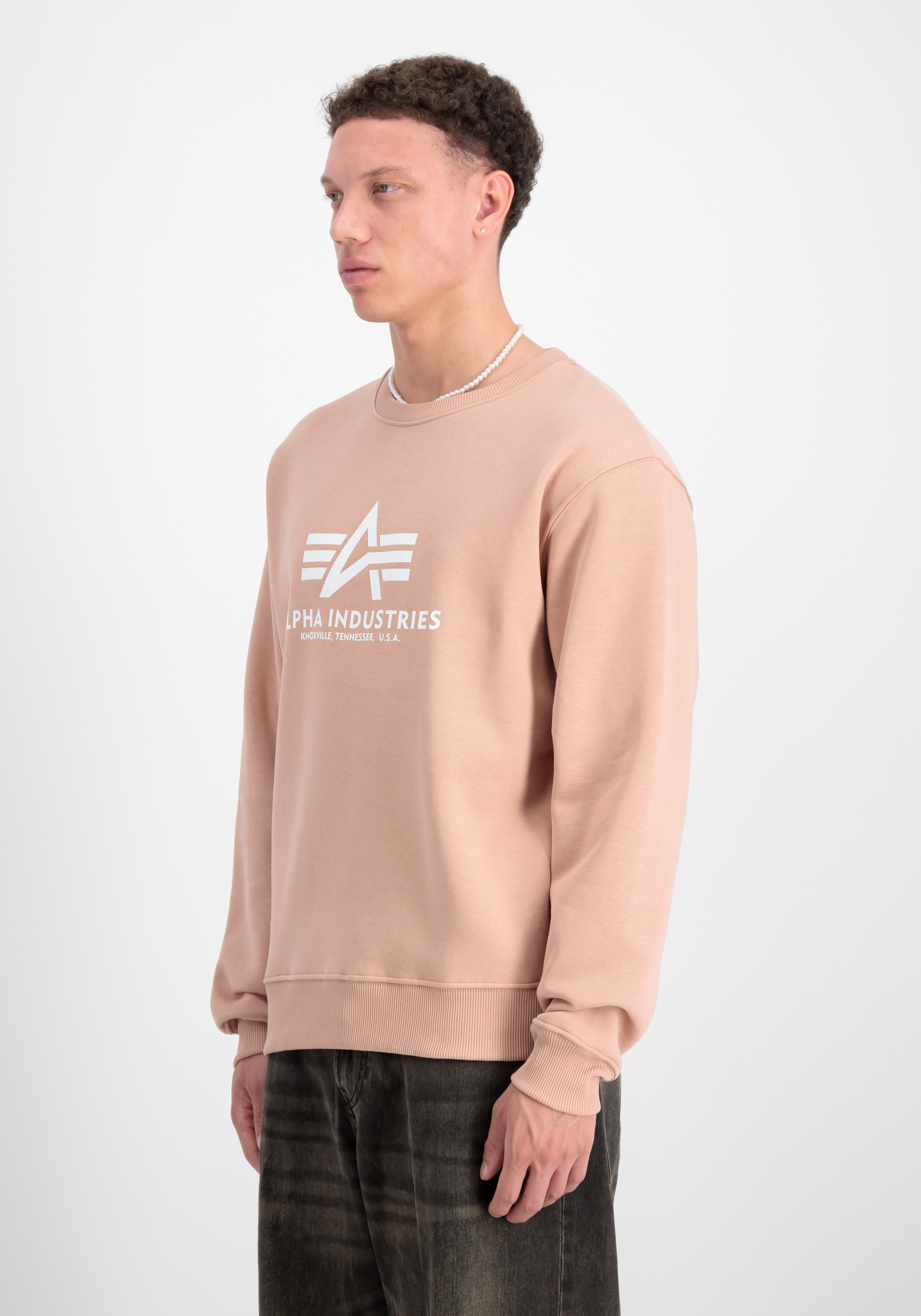 Alpha Industries Sweater »Alpha Industries Men - Sweatshirts Basic Sweater«