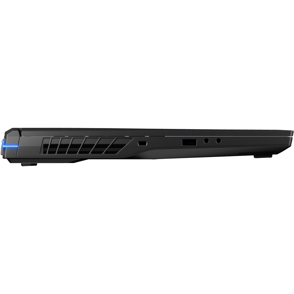 Medion® Gaming-Notebook »Beast X40«, 43,2 cm, / 17 Zoll, Intel, Core i9, 2000 GB SSD