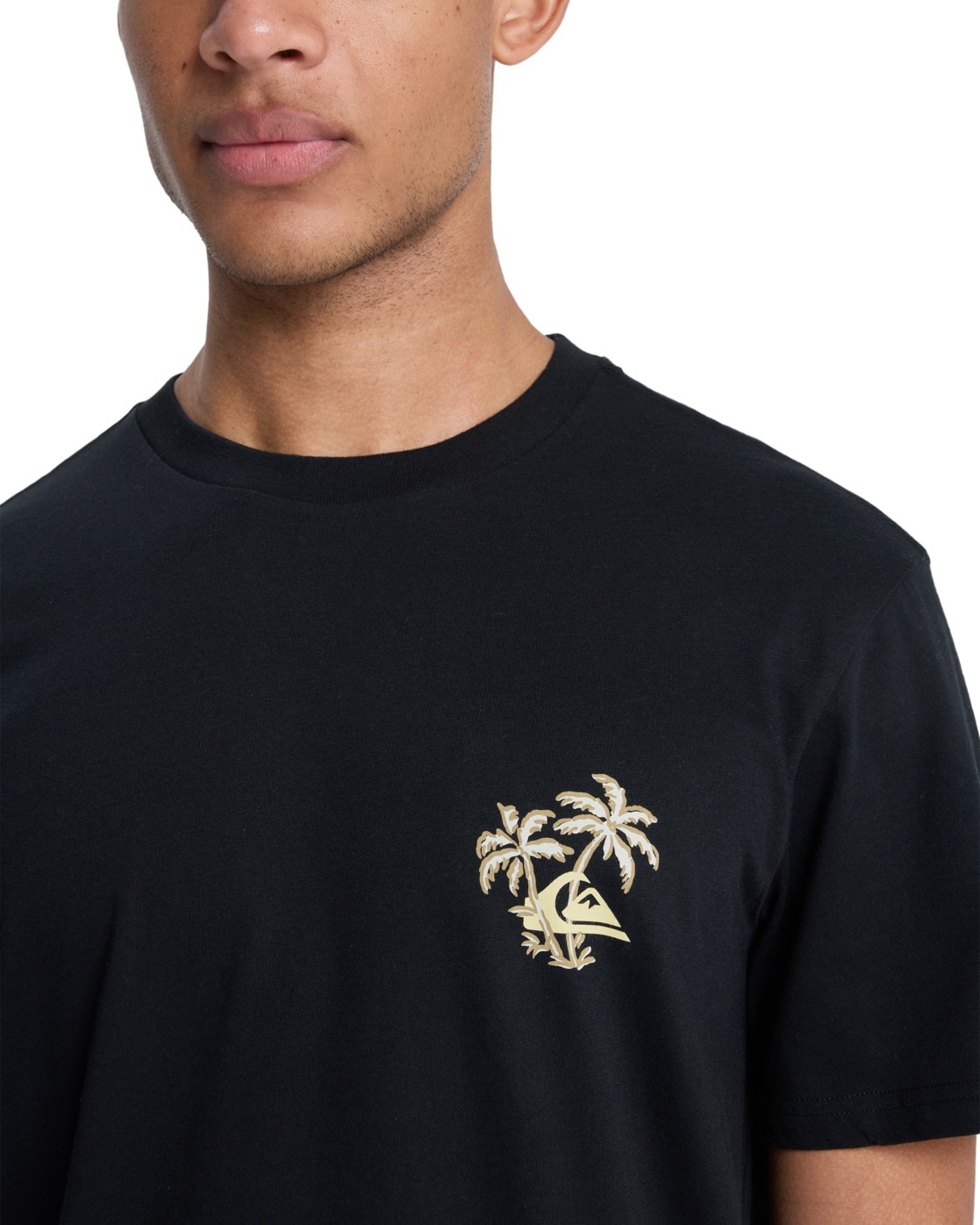 Quiksilver T-Shirt »Evo Learning From Nature«