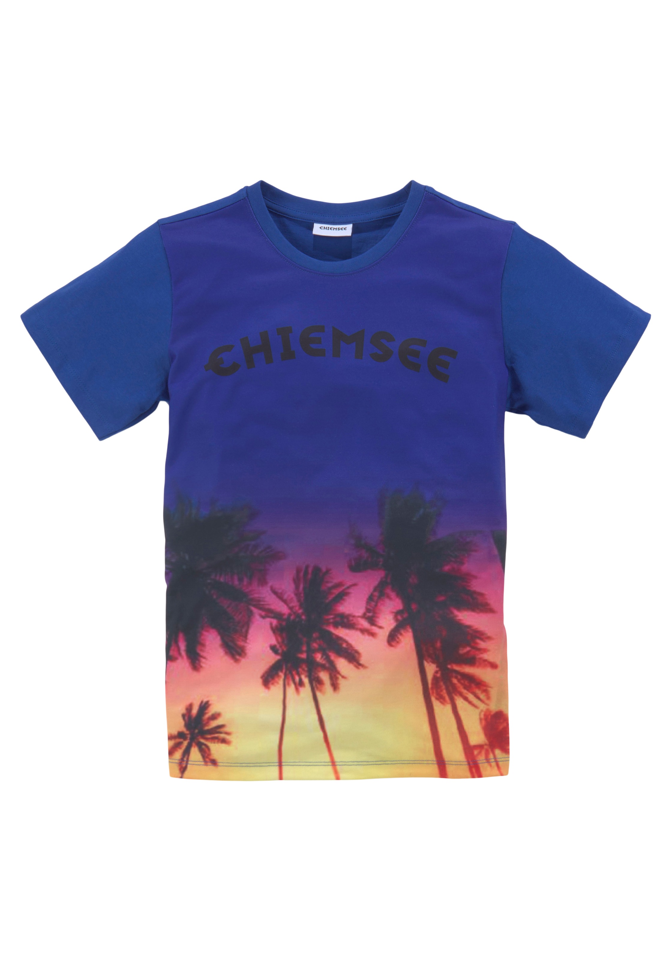 Chiemsee T-Shirt, Großer Fotodruck kaufen