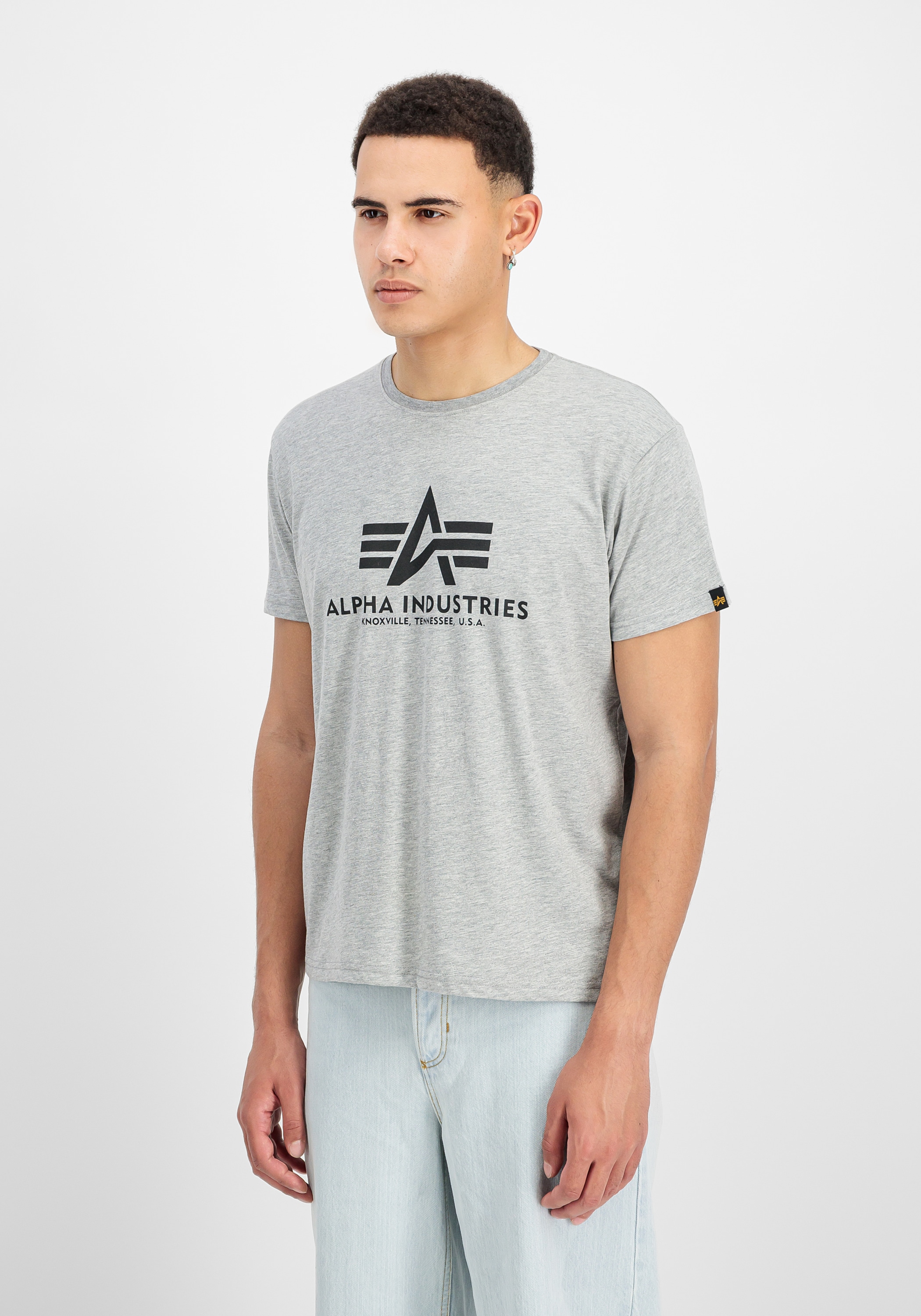 Alpha Industries T-Shirt »Basic T-Shirt BL«