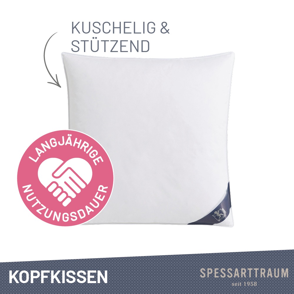 SPESSARTTRAUM 3-Kammer-Kopfkissen »Arosa Sparset«, (1 St.), Kissen 40x80, 8 günstig online kaufen
