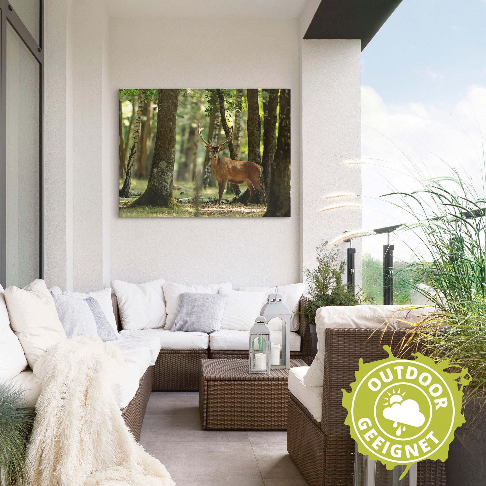 Artland Wandbild »Hirsch 4 - Wald«, Wildtiere, (1 St.), als Alubild, Leinwandbild, Wandaufkleber oder Poster in versch. Größen