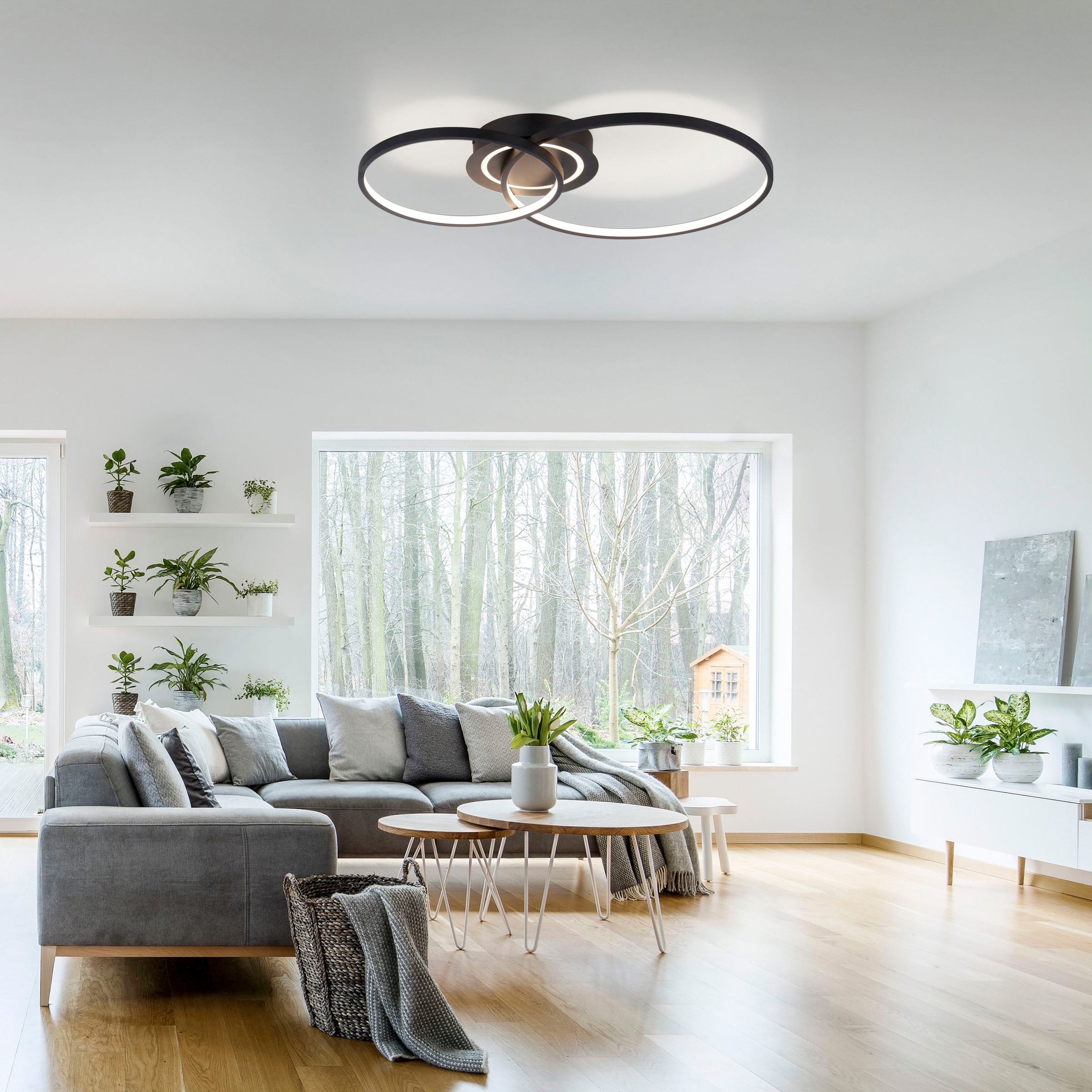 JUST LIGHT LED Deckenleuchte »ASMINA«, 2 flammig, Leuchtmittel LED-Board-LE günstig online kaufen