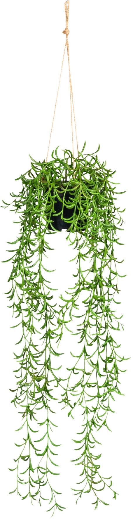Creativ green Hängetopf aus im »Nerifolia-Hänger«, Kunststoff online Kunstranke bestellen