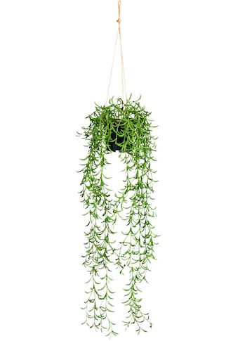 Creativ green Kunstranke »Nerifolia-Hänger«, (1 St.), im Hängetopf aus Kunststoff kaufen