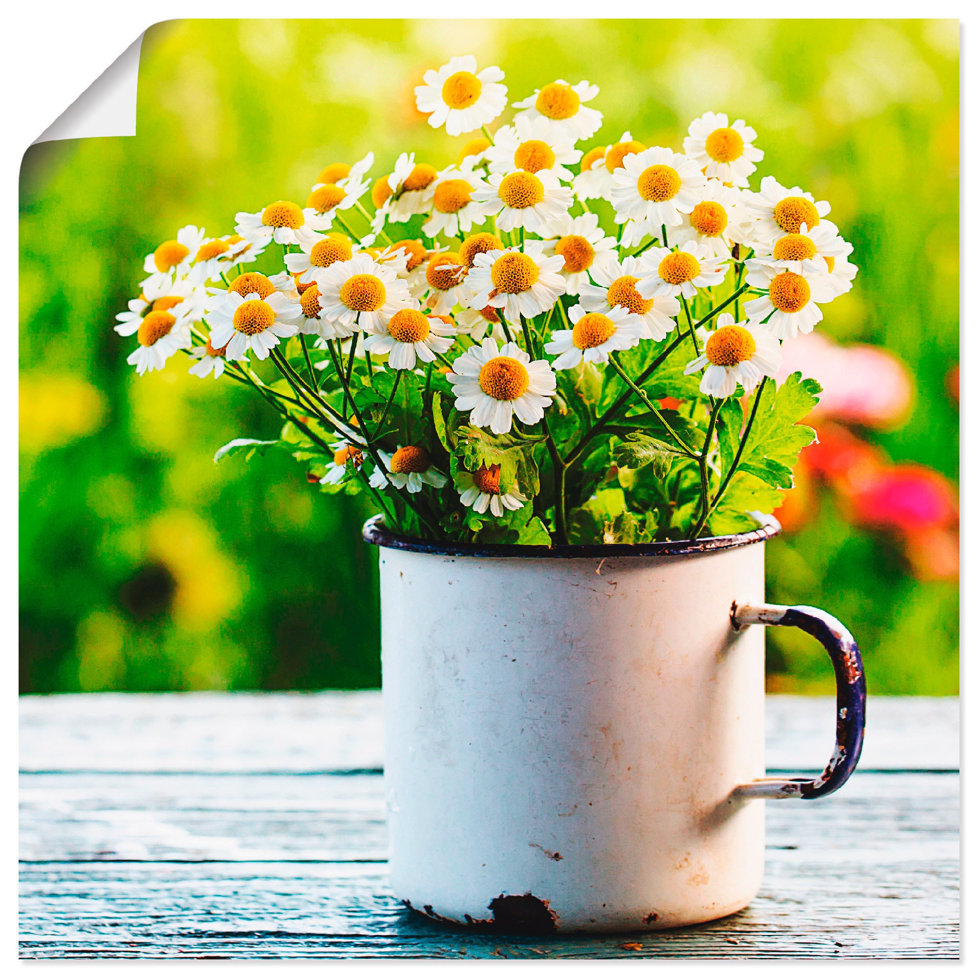 Artland Wandbild »Frühlingsgarten mit Gänseblümchen«, Poster Leinwandbild, Alubild, Wandaufkleber in online Größen Blumen, oder als St.), (1 versch. kaufen