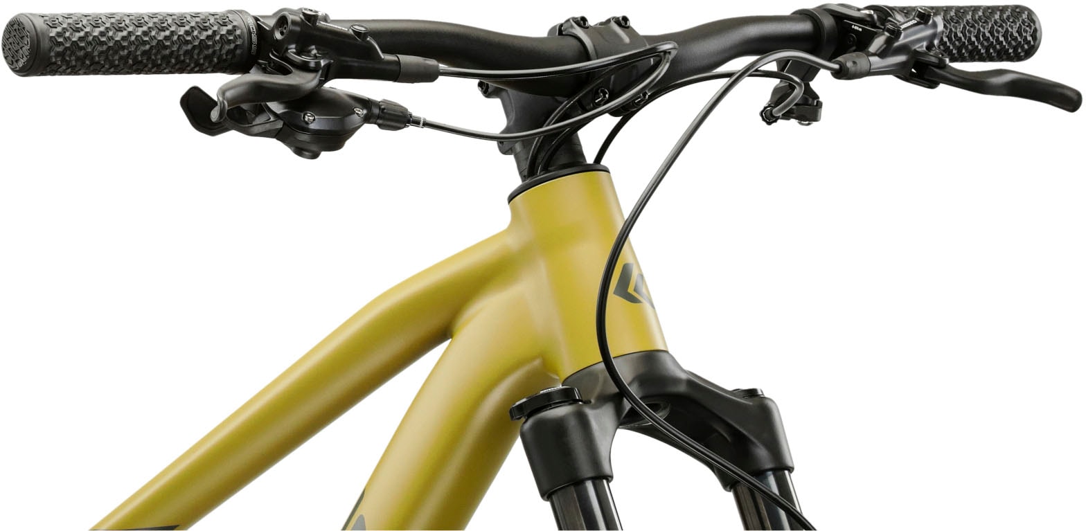 Kross Mountainbike »Hardtail Level 6.0«, 12 Gang, SRAM, NX EAGLE Schaltwerk, Kettenschaltung