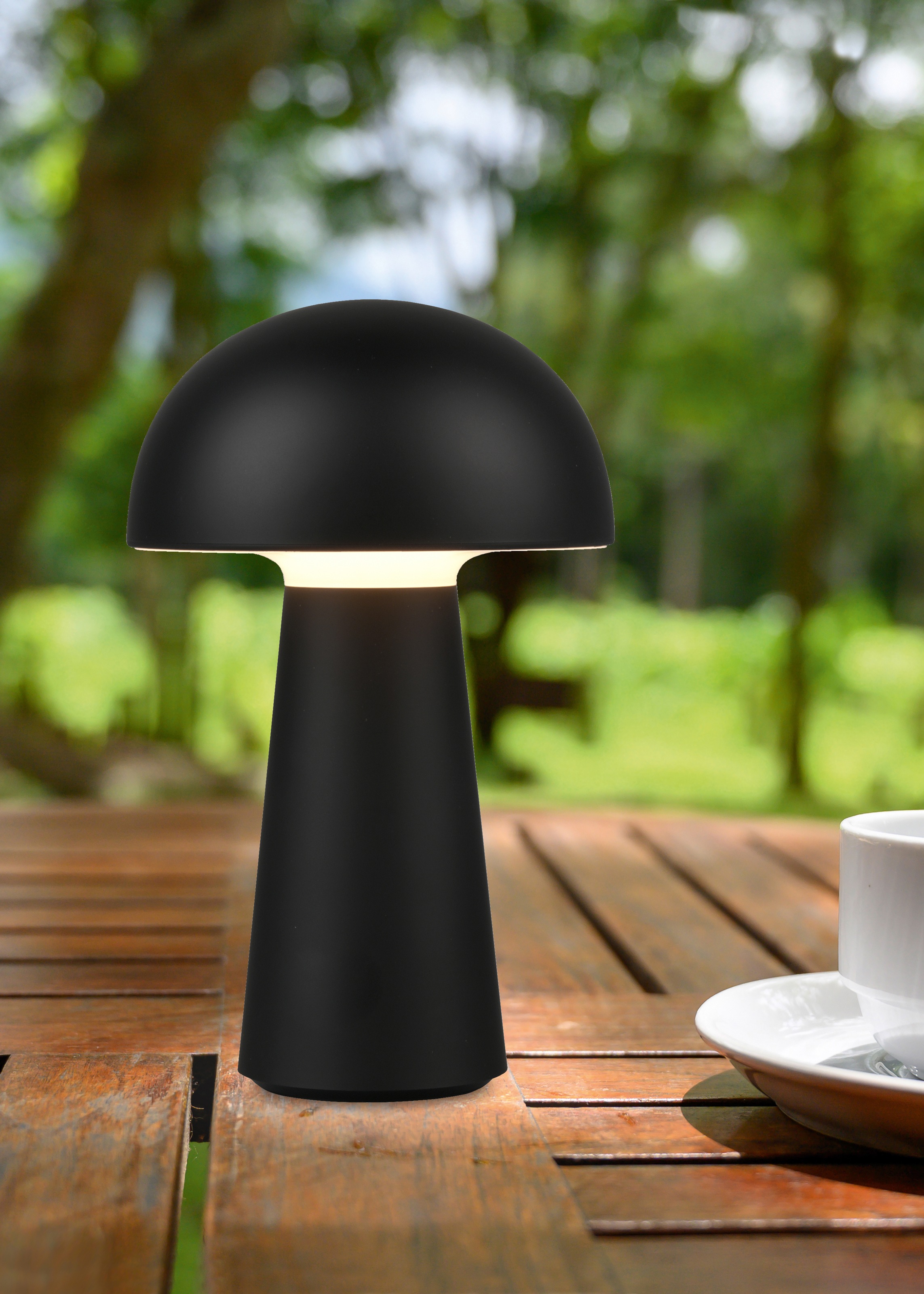 REALITY Leuchten LED Außen-Tischleuchte »Lennon«, 2-er Set, Schutzart IP44, günstig online kaufen