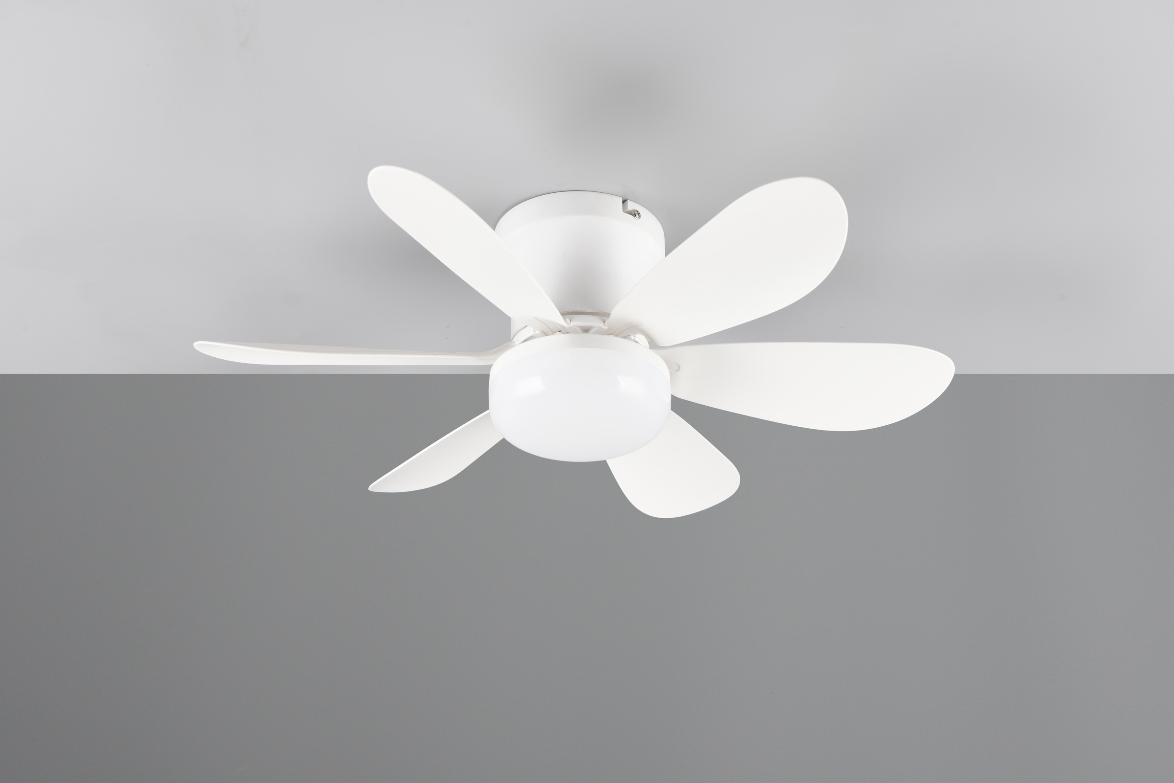 REALITY Leuchten LED Deckenleuchte »LUND mit Ventilator, Deckenventilator mit Licht inkl Fernbedienung«, 1 flammig, Leuchtmittel LED-Board | LED fest integriert, 3 Geschwindigkeiten Timer Vor- & Rücklauf LED dimmbar CCT Nachtlicht