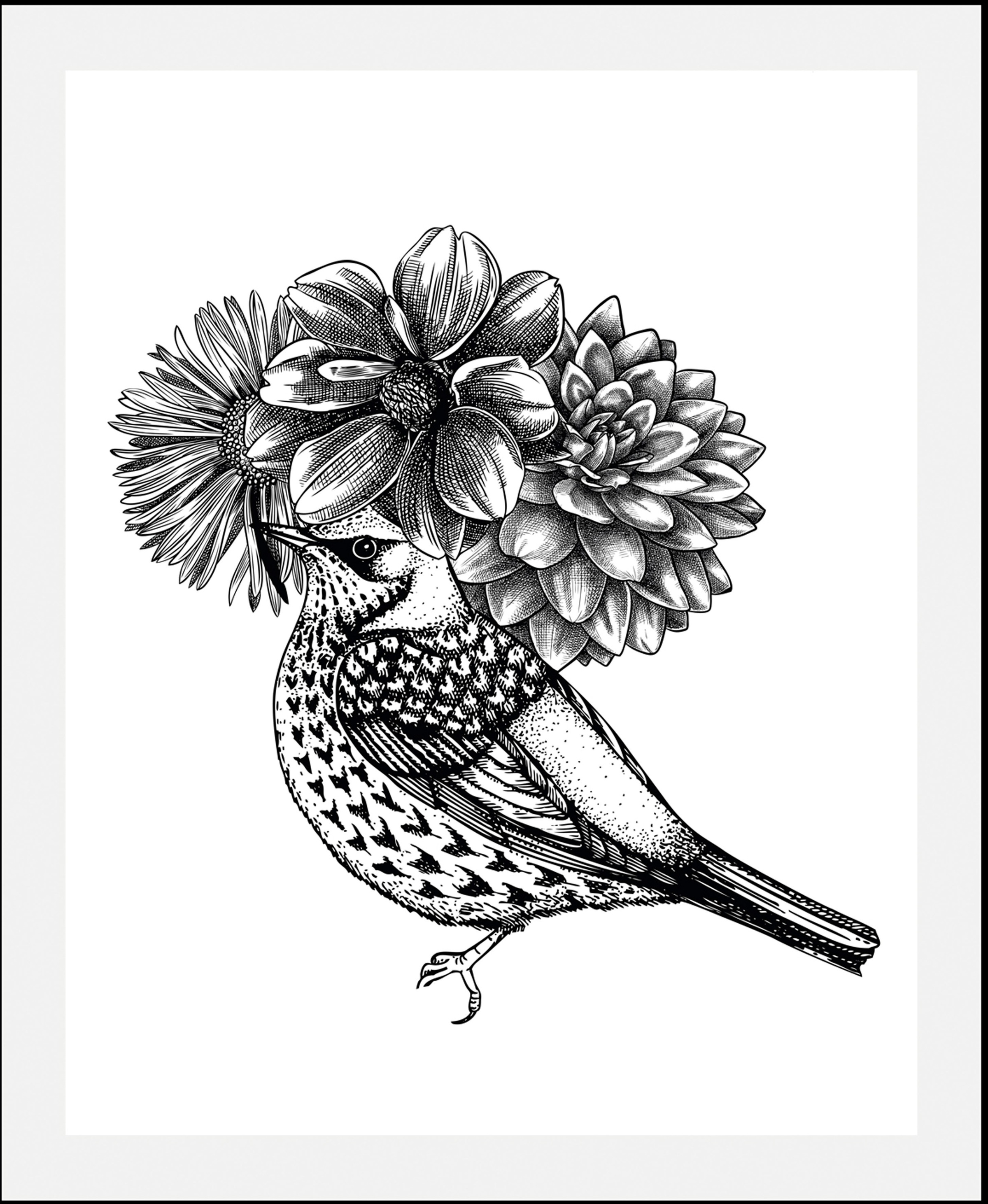 queence Bild »Gezeichneter Vogel«, (1 St.), HD Premium Poster-Druck inkl. H günstig online kaufen