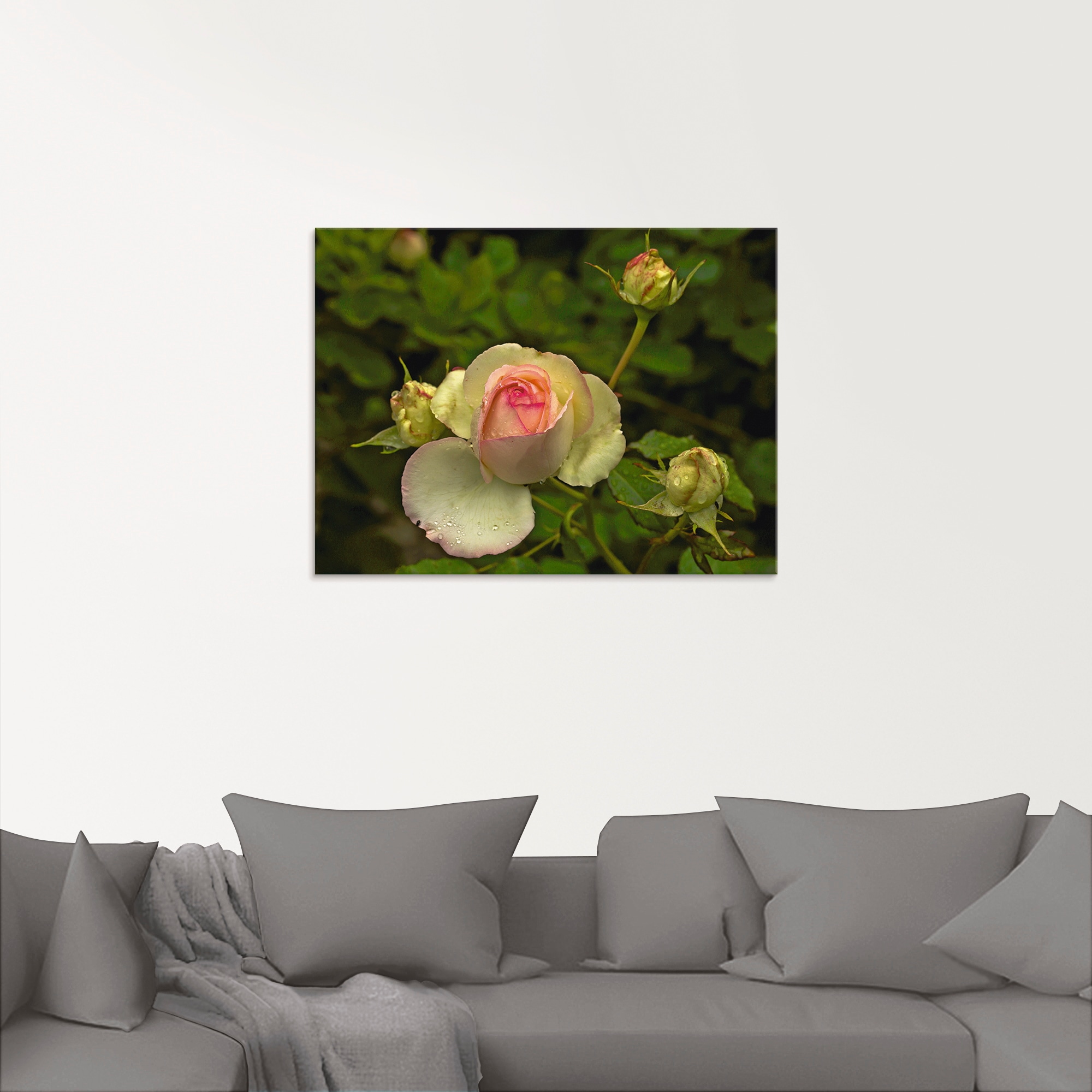 Artland Glasbild »Rosa Rose«, Blumen, (1 St.), in verschiedenen Größen