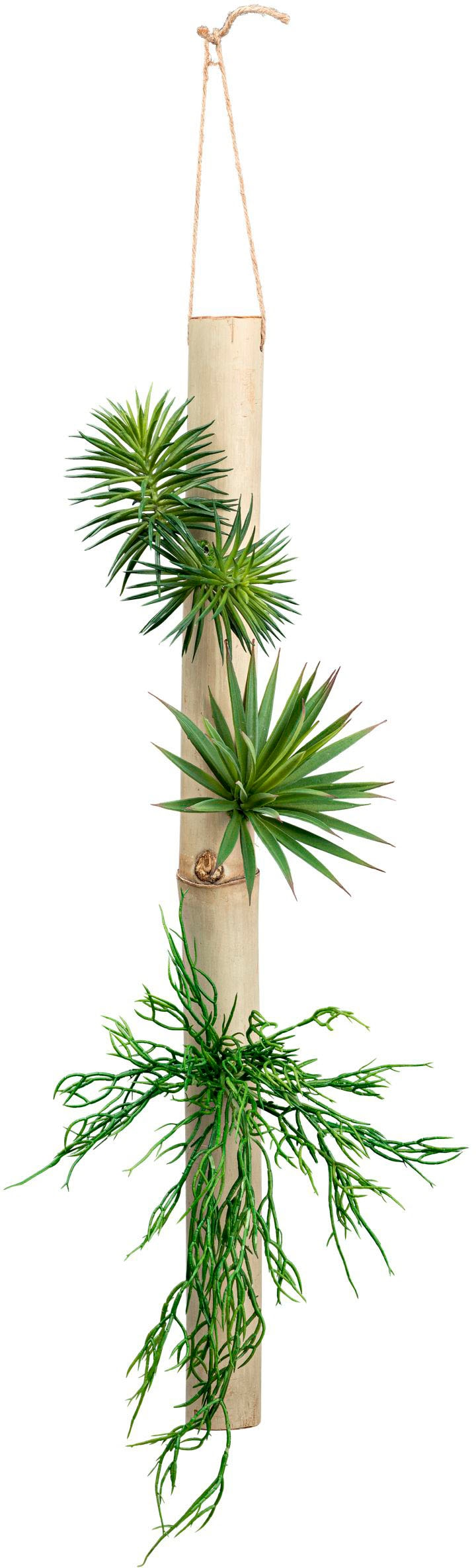 Creativ green Kunstpflanze »Deko-Sukkulente auf Natur-Bambusrohr«, aus Naturbambusrohr