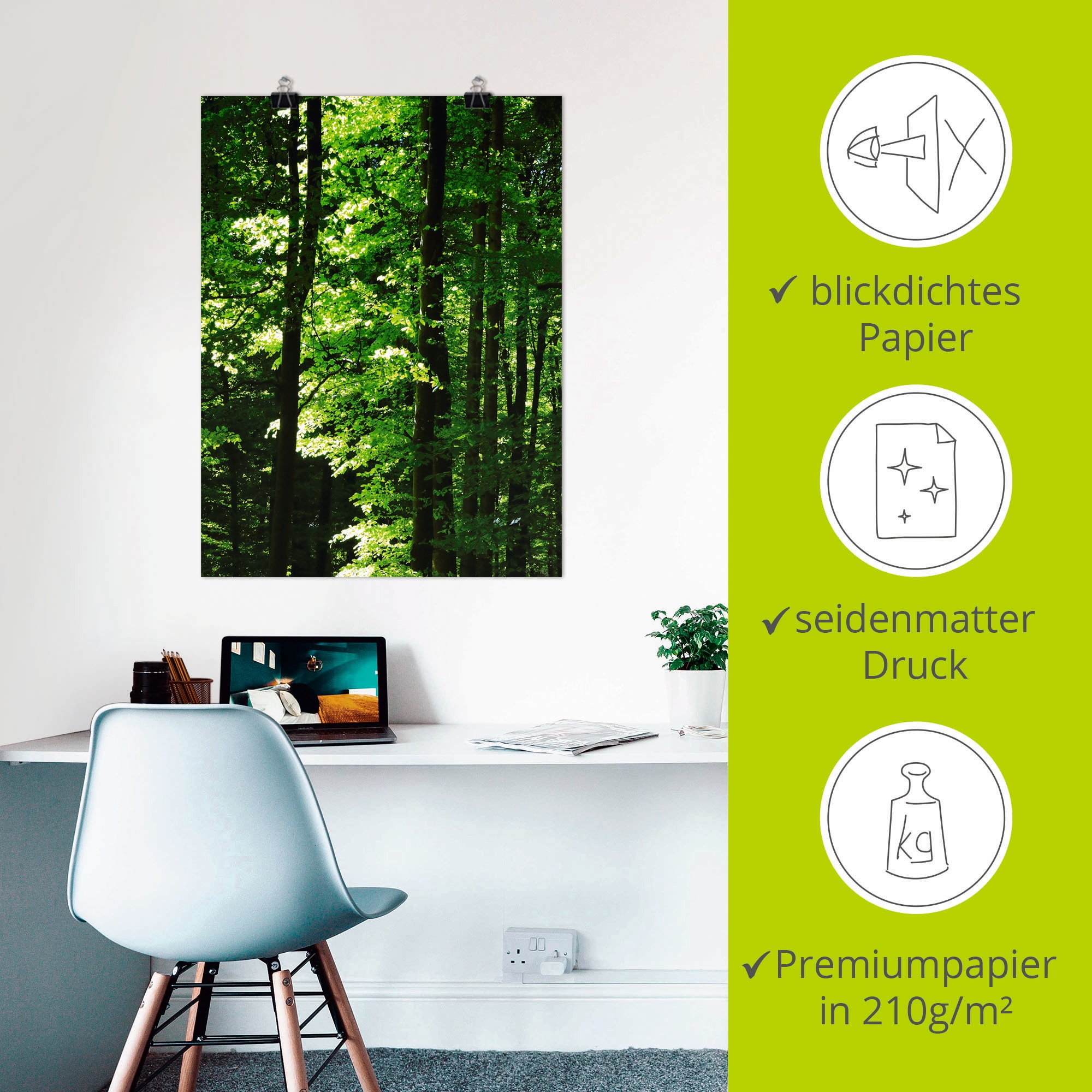 Artland Poster »Im Buchenwald«, Wald, (1 St.), als Alubild, Leinwandbild, Wandaufkleber oder Poster in versch. Größen