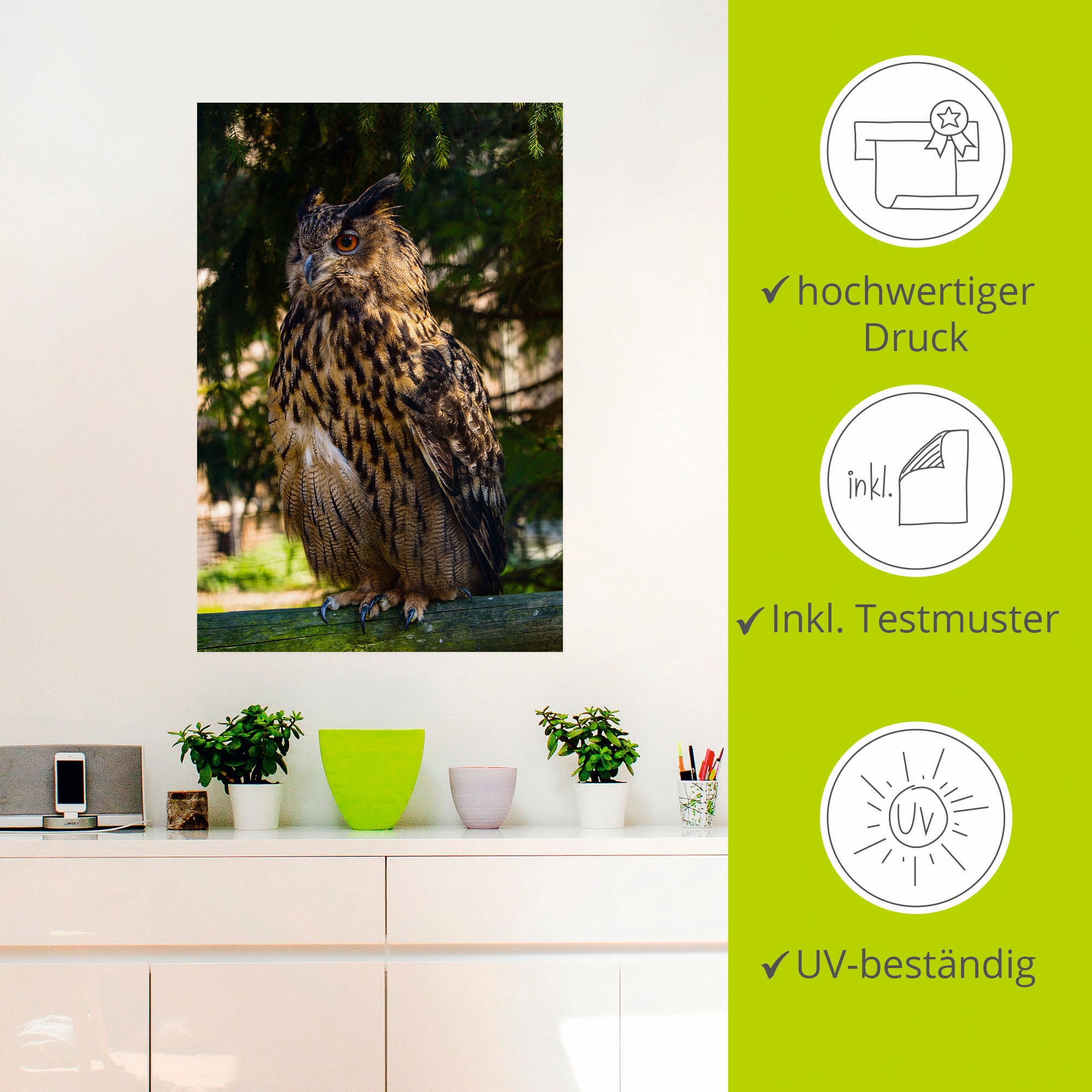 Artland Wandbild »Ein Uhu im Wald«, Eulen, (1 St.), als Alubild, Leinwandbild, Wandaufkleber oder Poster in versch. Größen