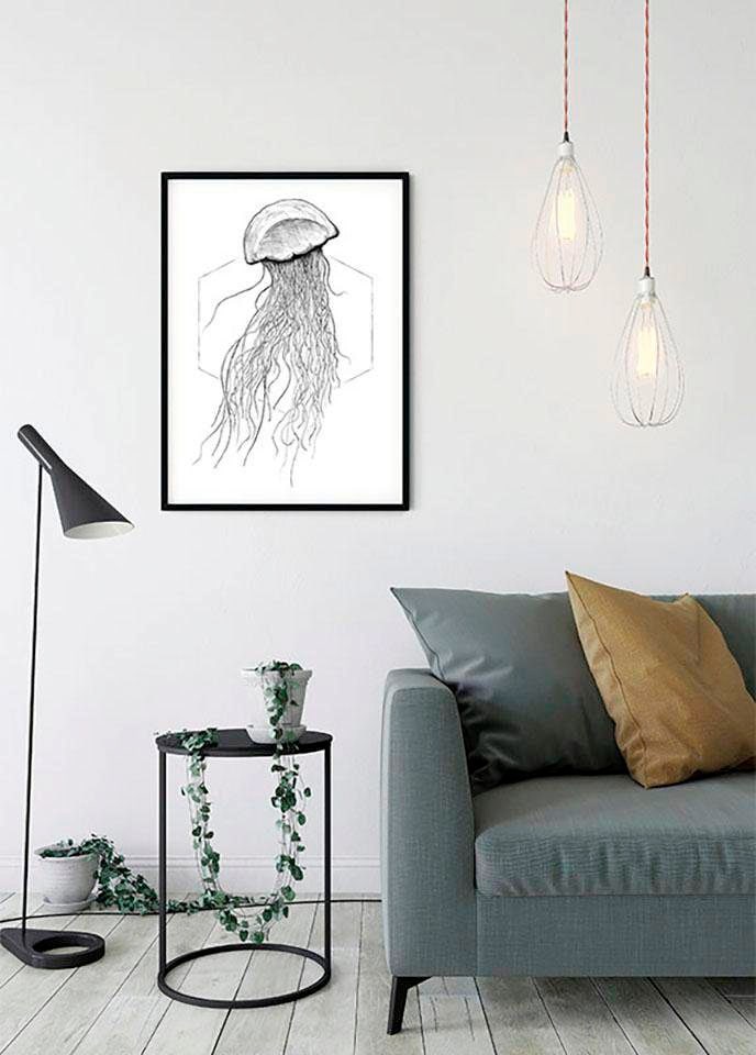 Komar Bild »Jellyfish White«, Tiere, (1 St.), Wandbild zur Dekoration - ohne Rahmen