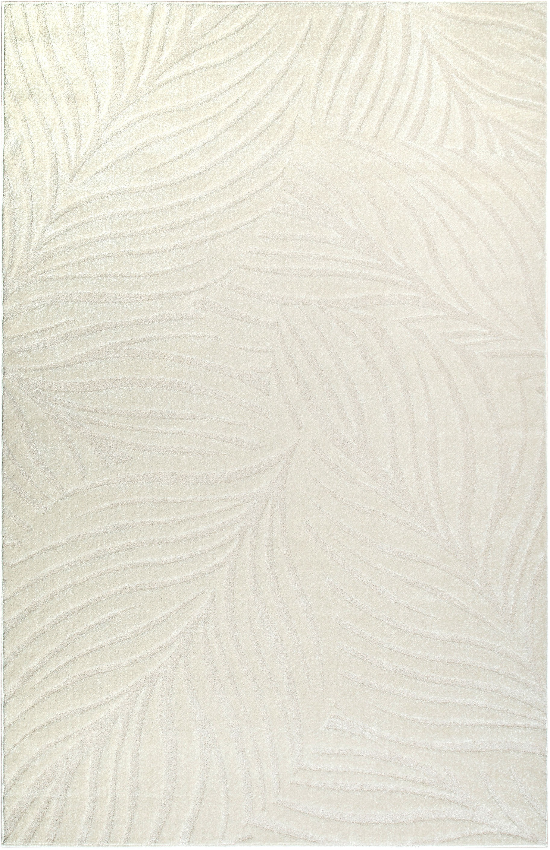 my home Teppich »Calmura, Blätter-Design in Hoch-Tief-Struktur« rechteckig günstig online kaufen