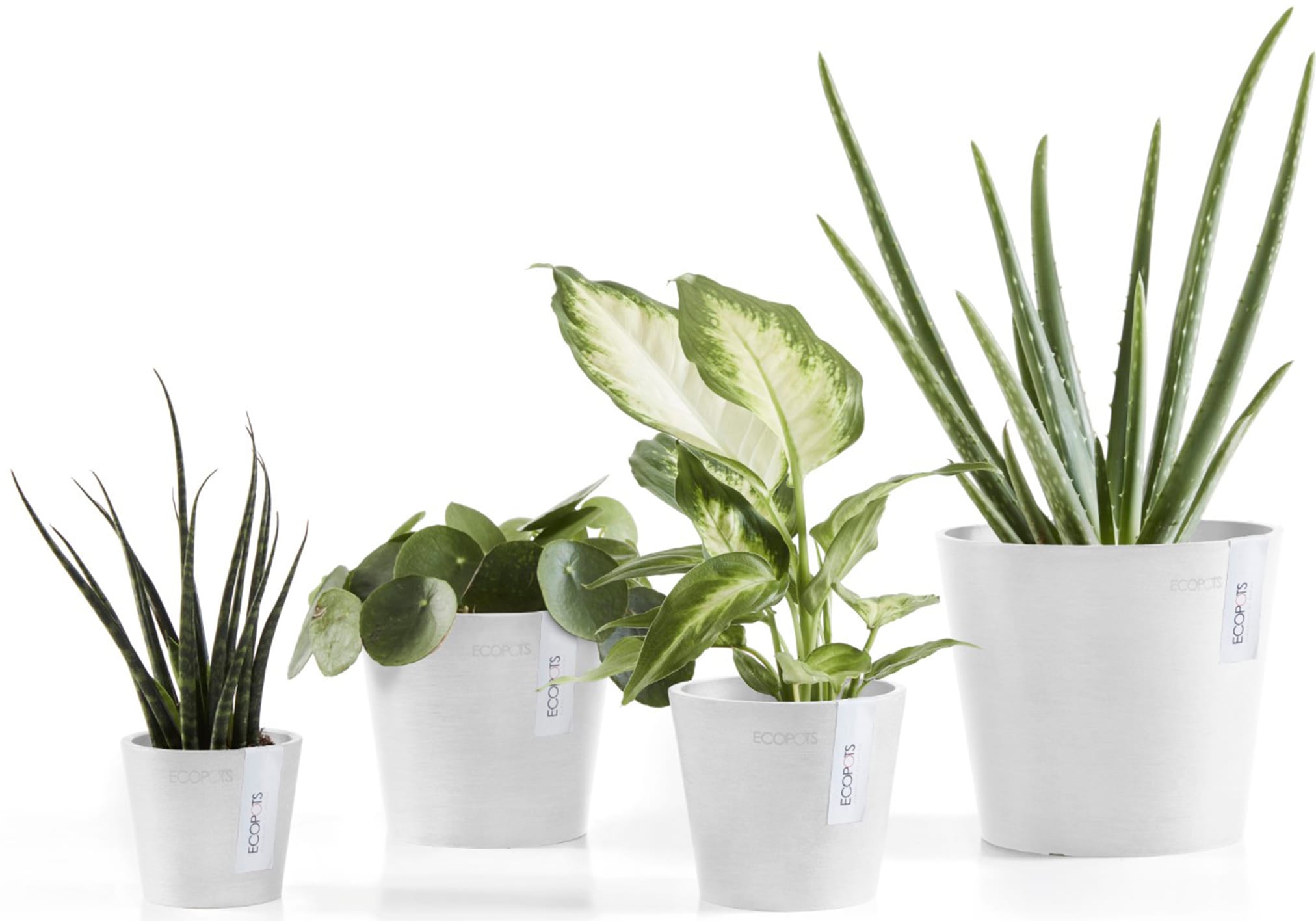 ECOPOTS Blumentopf »Amsterdam Mini 13 Weiß«, für den Innenbereich