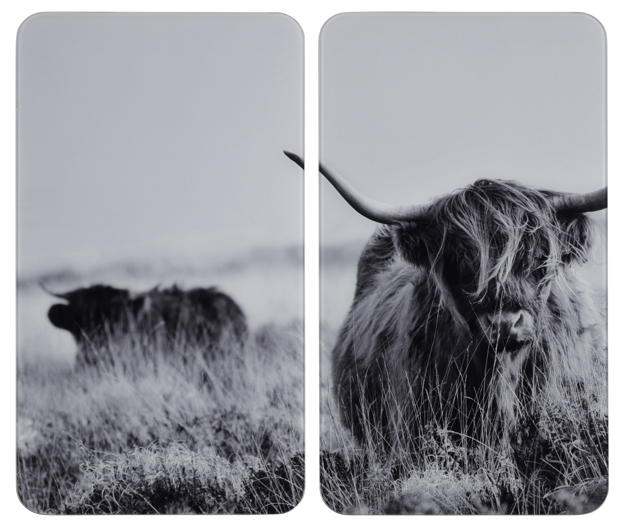 WENKO Herd-Abdeckplatte »Universal Modell Highland Cattle«, (Set, 2 tlg.), Herdabdeckung für alle Herdarten, kratzfest, mit rutschfesten Füßen