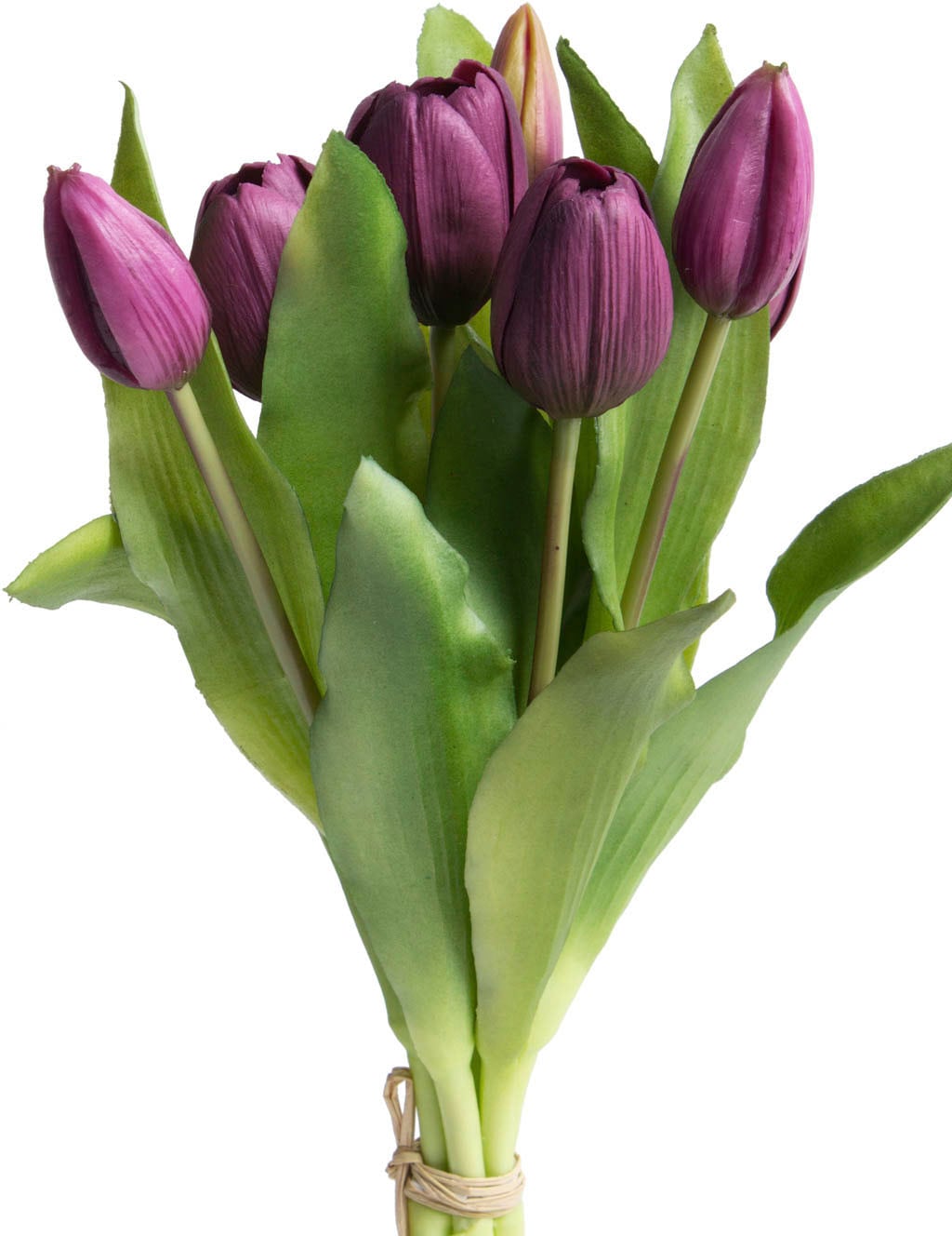 im Raten Tulpenbündel Botanic-Haus auf 7er-Set Kunstblume »Willa«, bestellen