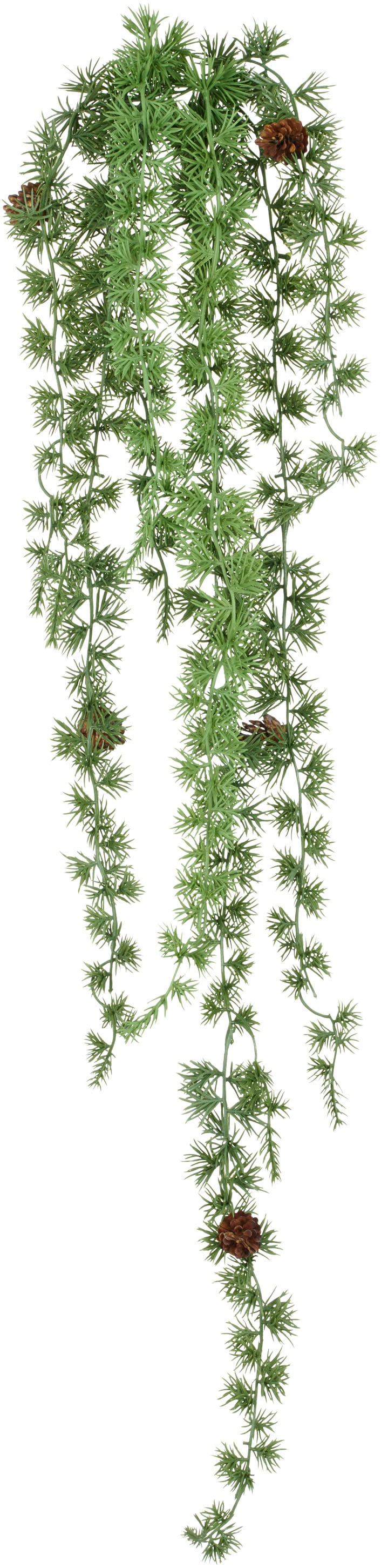 Creativ green Kunstranke »Hängezweig mit Zedernzweigen« mit Zapfen