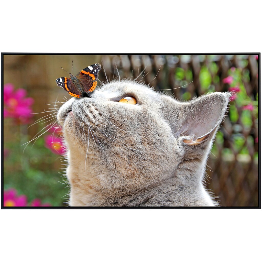 Papermoon Infrarotheizung »Schmetterling und Katze«
