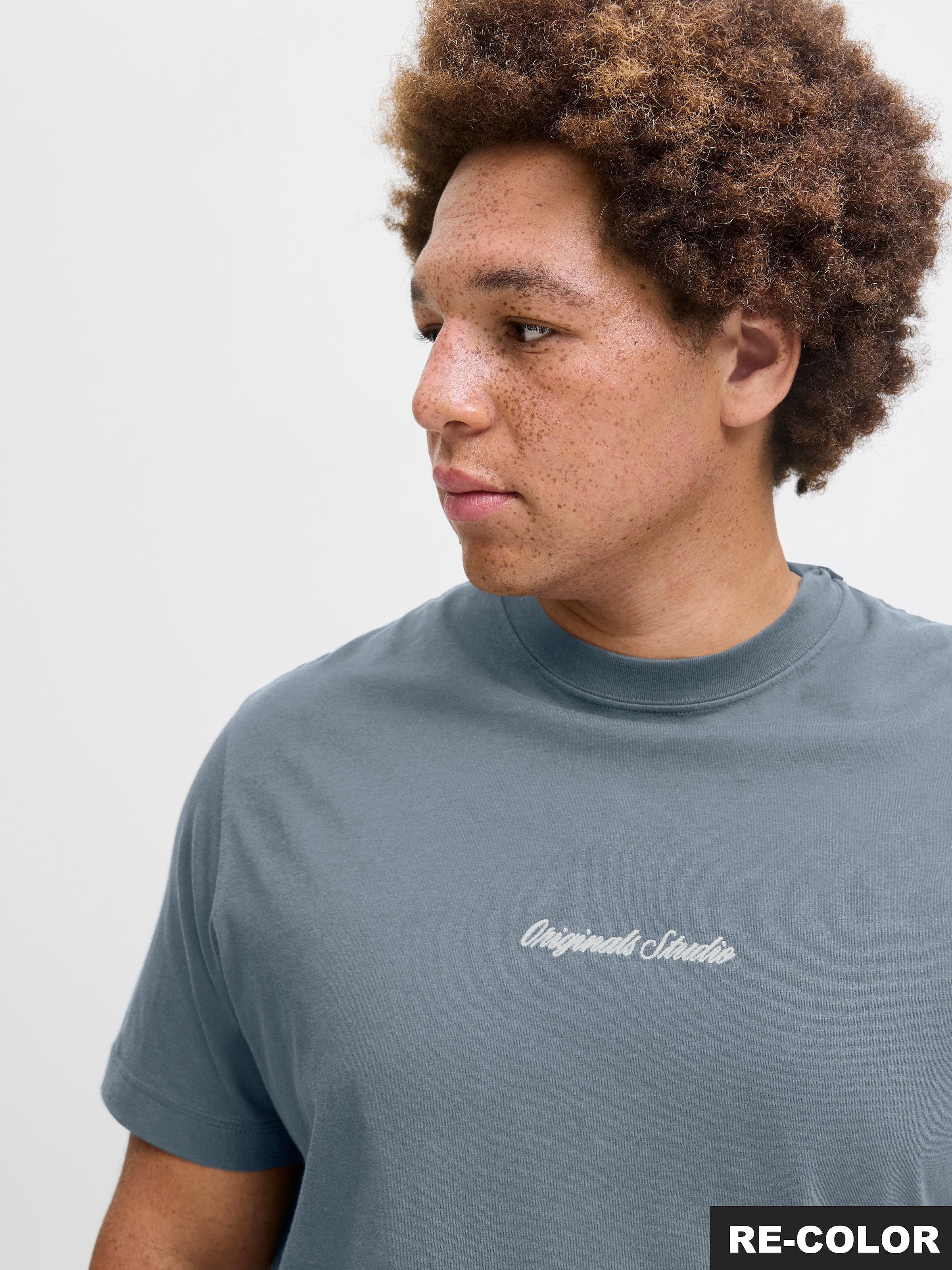 Jack & Jones PlusSize T-Shirt »JORNORREBRO EMB TEE SS CREW NECK PLS«