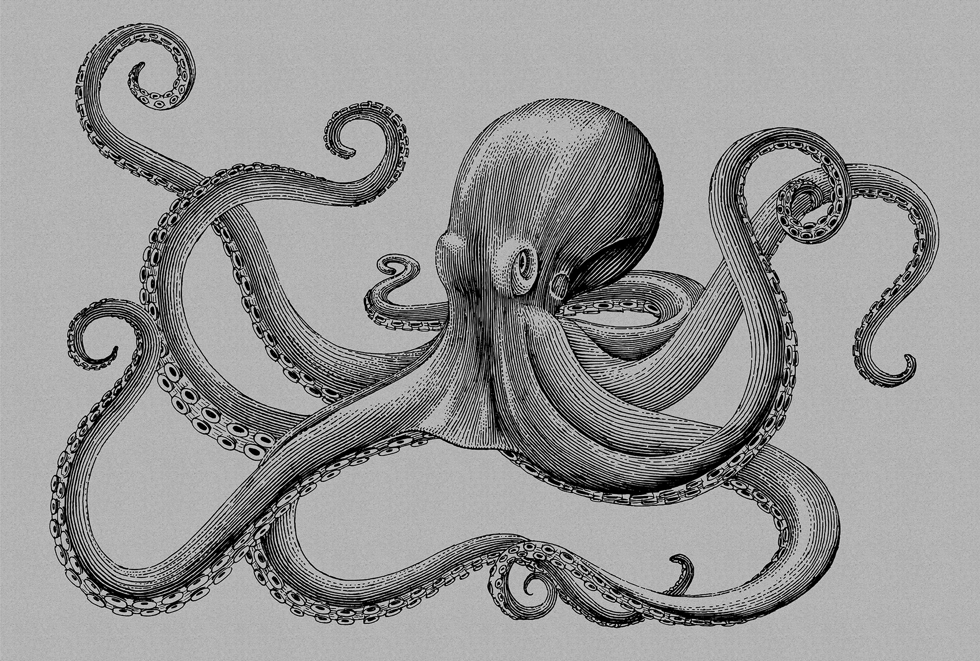 living walls Fototapete »Walls by Patel Jules 2« glatt Vlies, Wand, Schräge günstig online kaufen