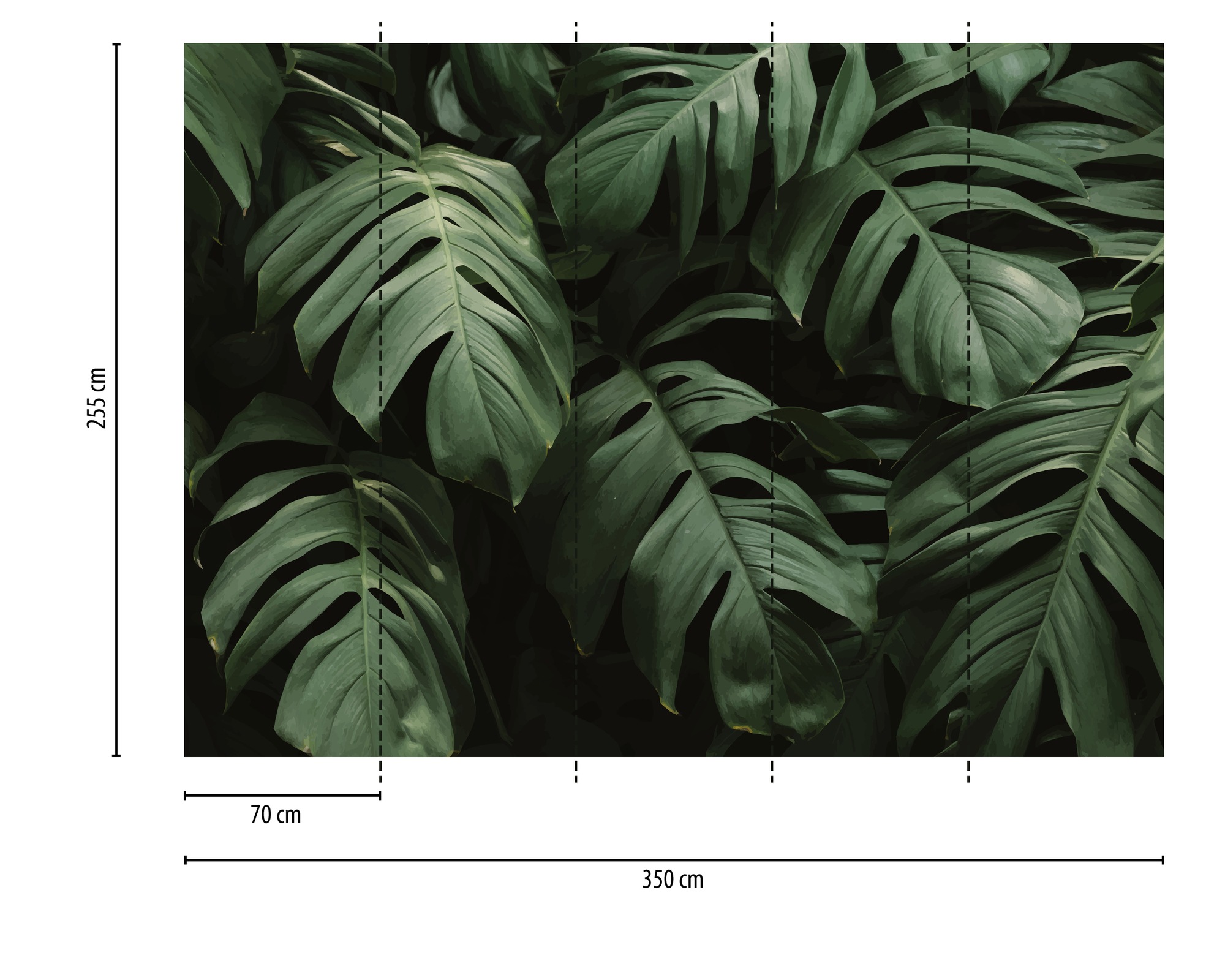 A.S. Création Vliestapete »Fototapete Monstera Blätter Dunkelgrün Tropisch« matt strukturiert