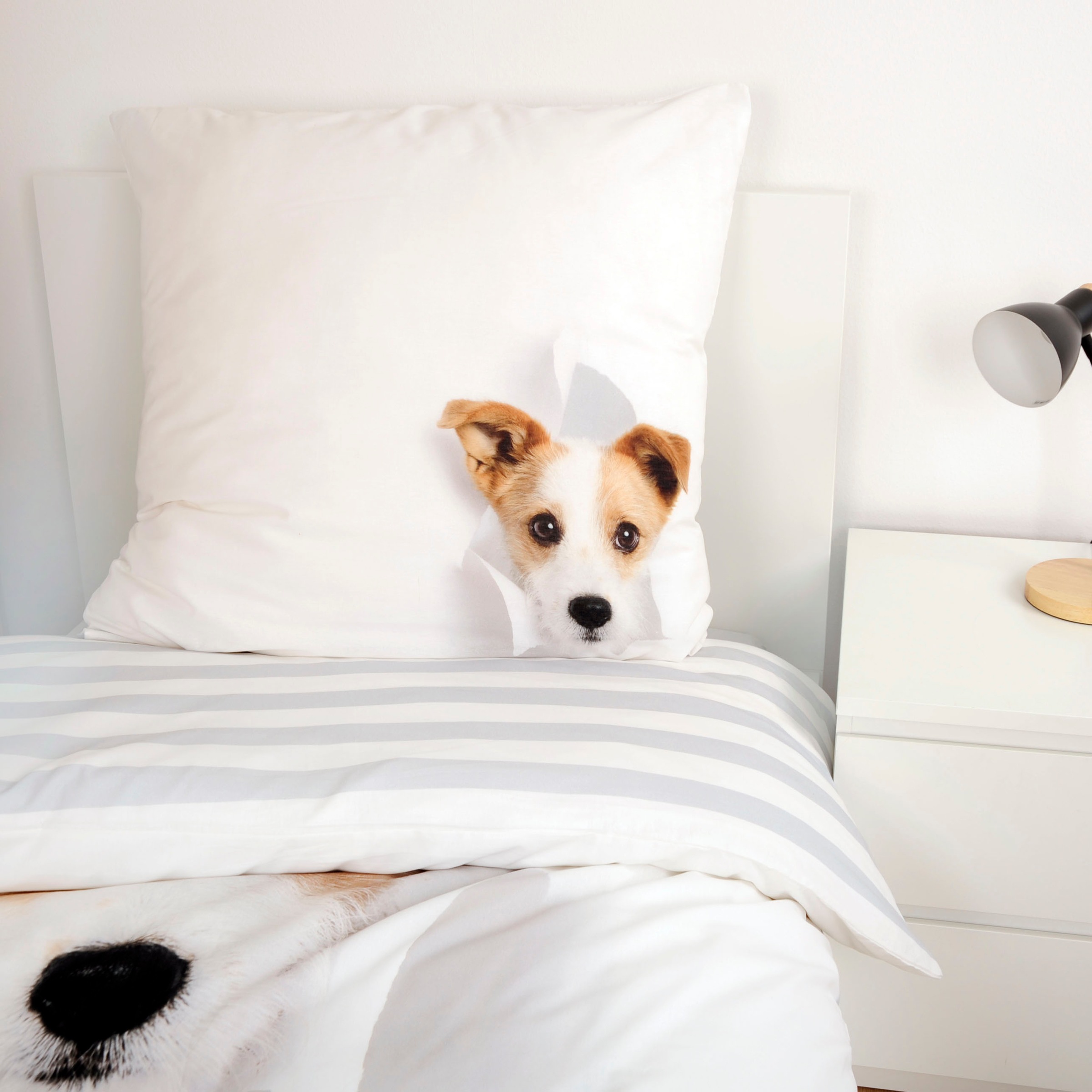 Herding Young Collection Bettwäsche »YC Hund«, mit tollem Motiv