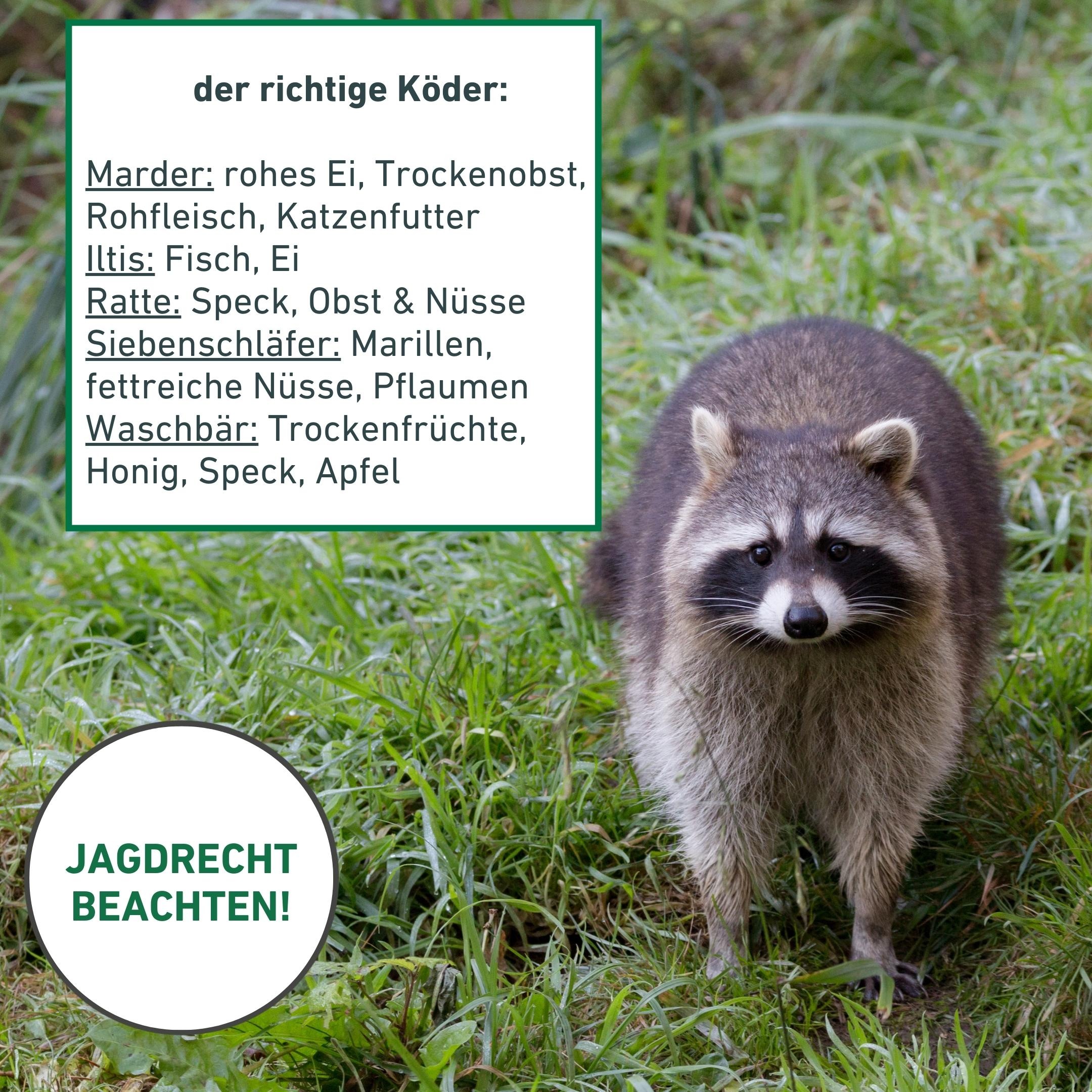 Windhager Schlagfalle »Drahtkasten Marderfalle 60 x 18 x 20 cm« wetterfeste und robuste Lebendfalle für Marder, verzinkt