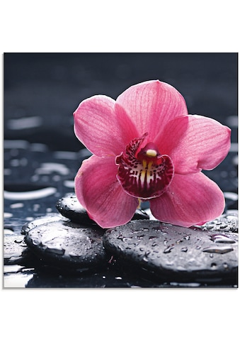 Artland Glasbild »Stillleben mit Kiesel und einer Orchidee«, Blumen, (1 St.) kaufen