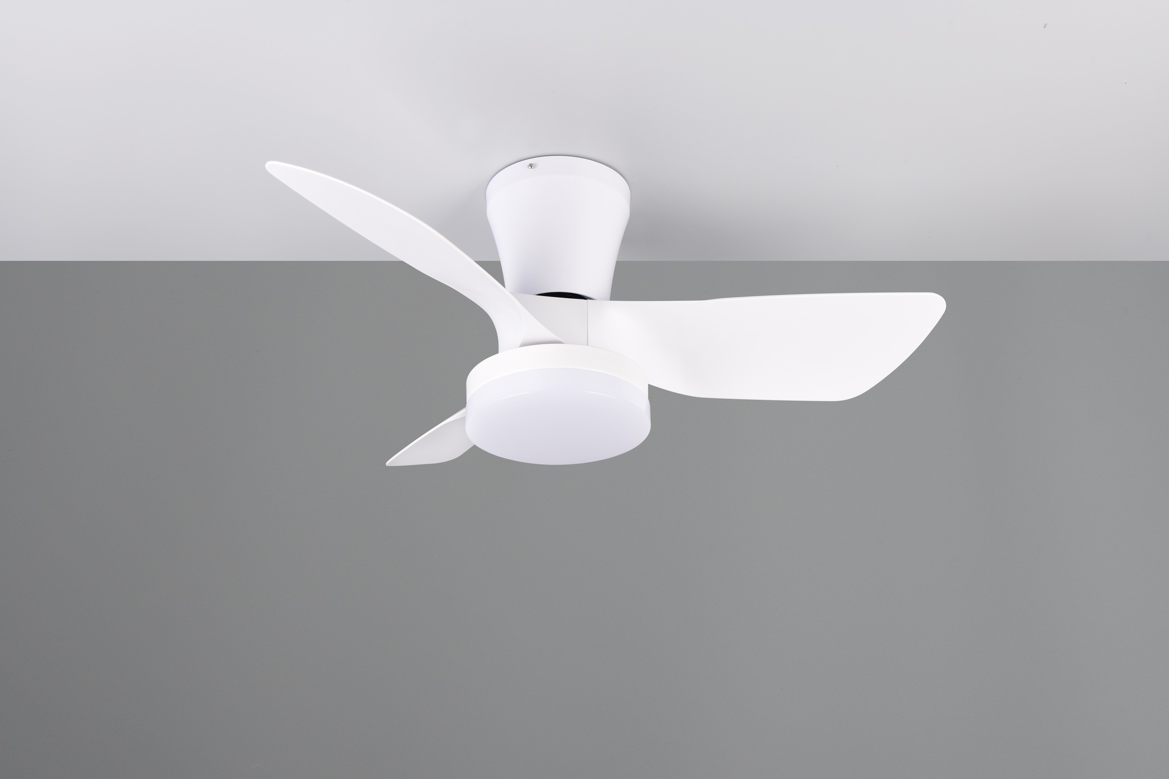 REALITY Leuchten LED Deckenleuchte »RANDERS mit Ventilator, Deckenventilator mit Licht inkl Fernbedienung«, 1 flammig, Leuchtmittel LED-Board | LED fest integriert, 6 Geschwindigkeiten Timer Vor- & Rücklauf LED dimmbar CCT Nachtlicht