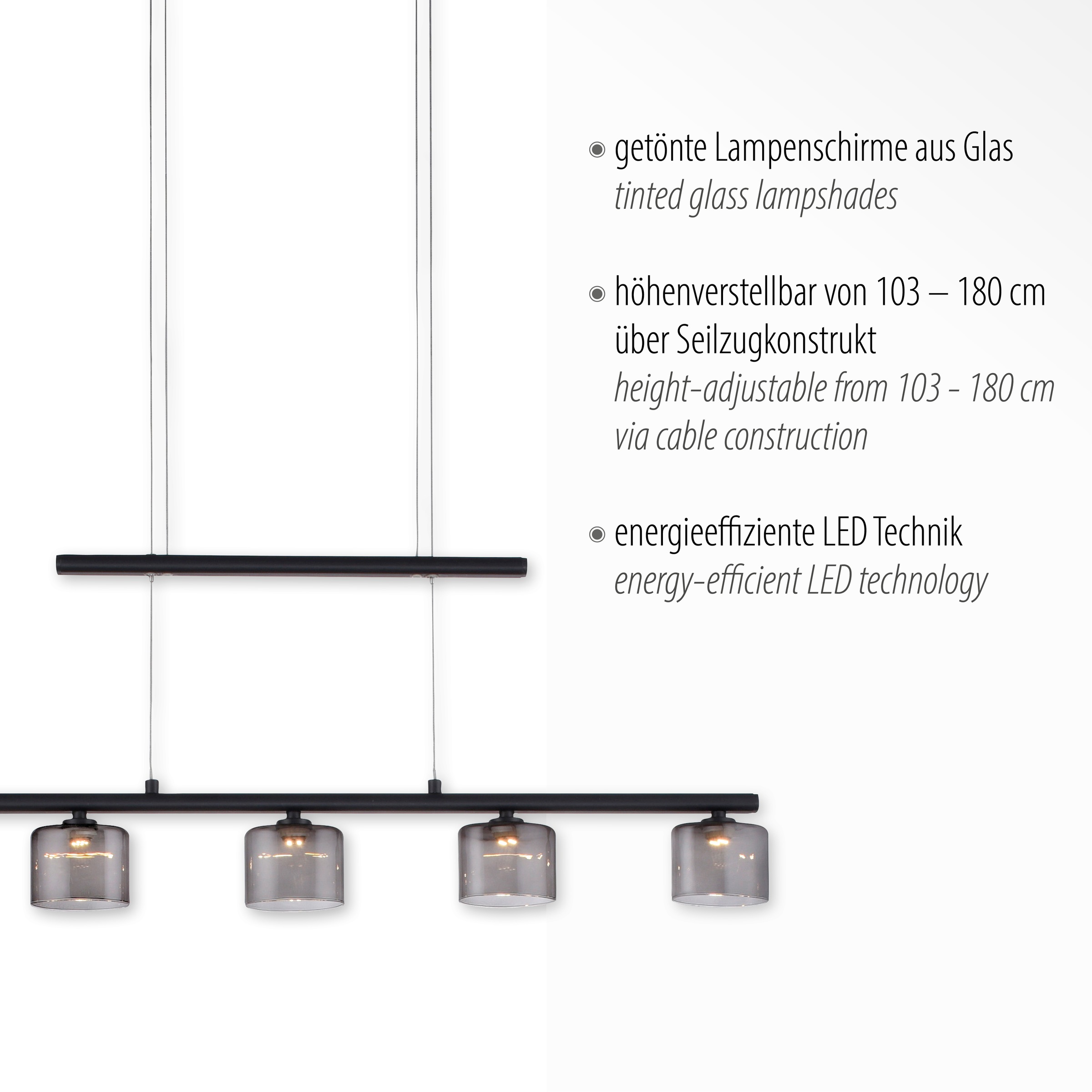 Paul Neuhaus Pendelleuchte »HYDRA«, 5 flammig, Leuchtmittel LED-Board   LED günstig online kaufen