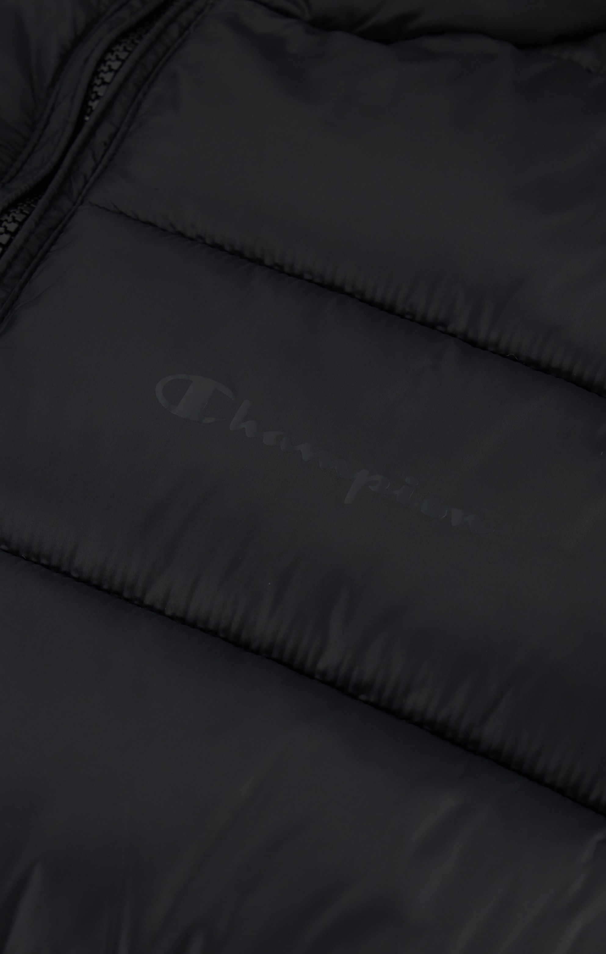 Champion Steppjacke »Hooded Jacket«, mit Kapuze