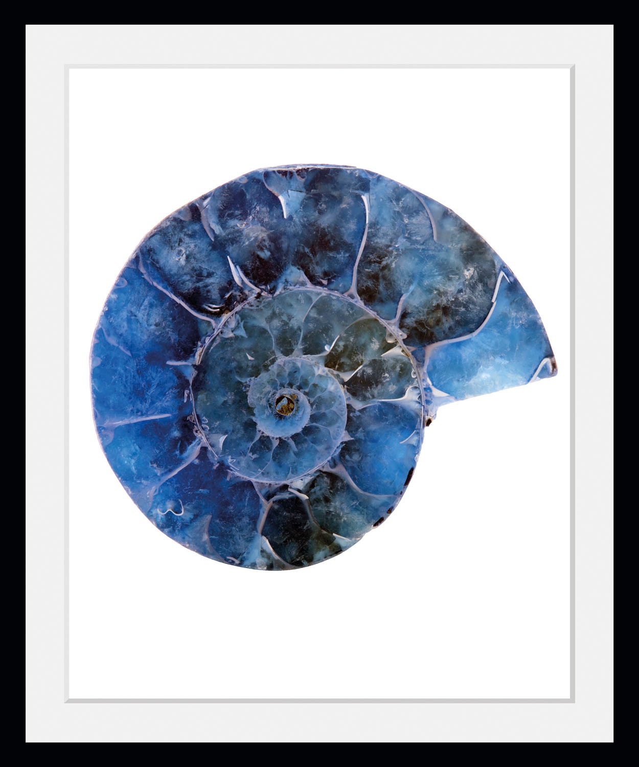 queence Bild »Abel« Kunst | Meer | Wassertiere 1 Stk. tlg. HD Premium Poster-Druck inkl. Holzrahmen