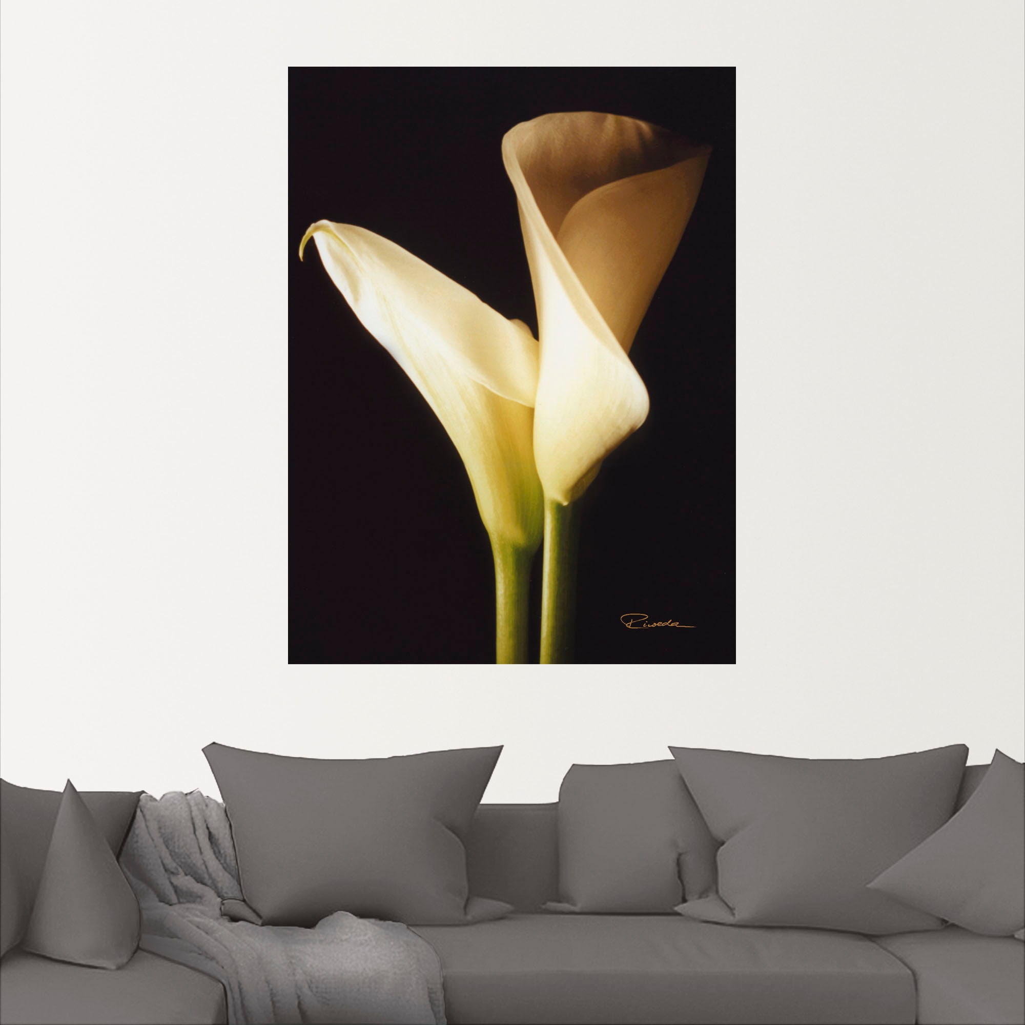 Artland Wandfolie »Wunderschöne Zantedeschien I«, Blumen, (1 St.), selbstklebend