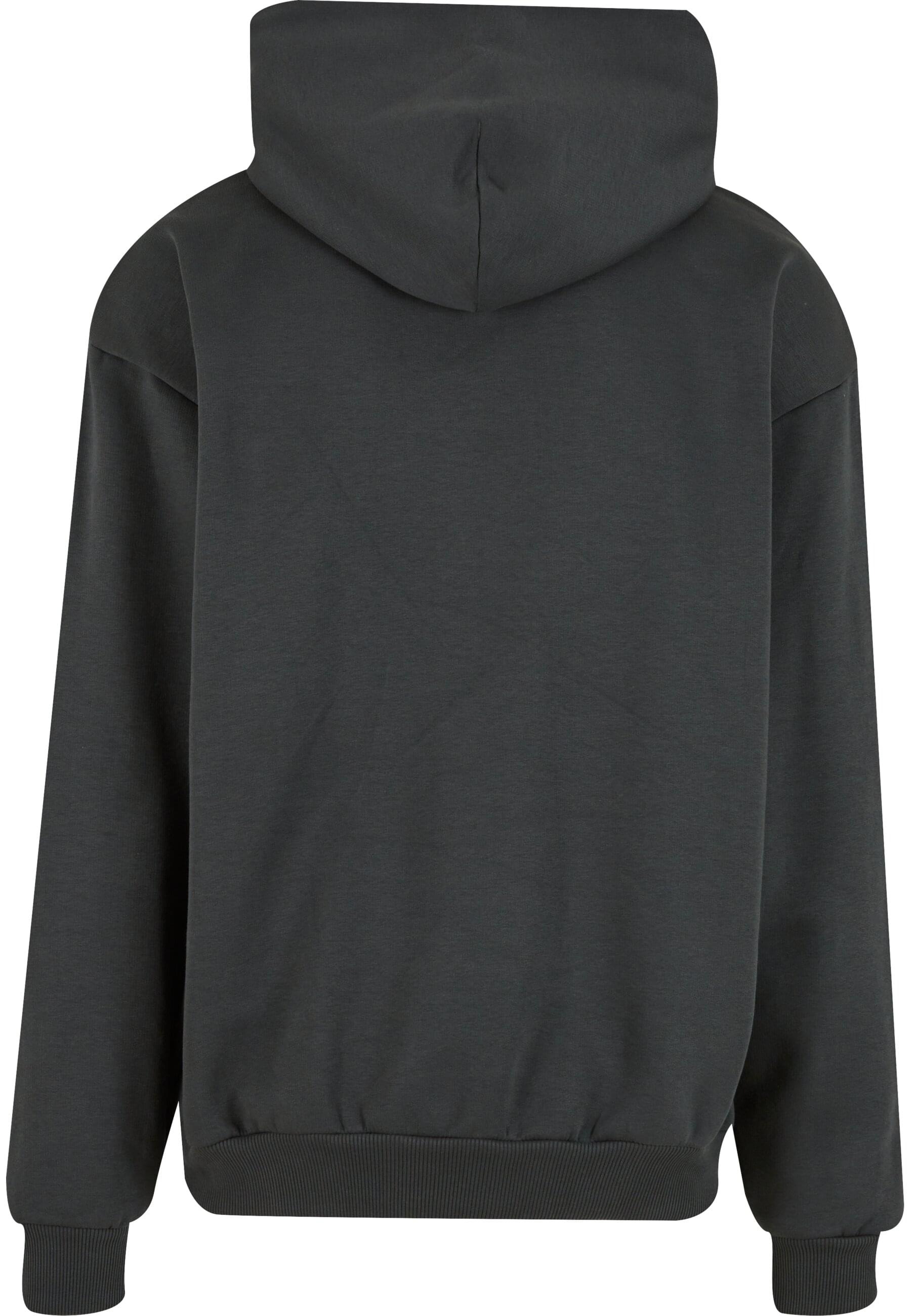 Karl Kani Kapuzensweatshirt »Karl Kani KK Kani Icy Chrome Hoodie« 1 Stk. tlg.