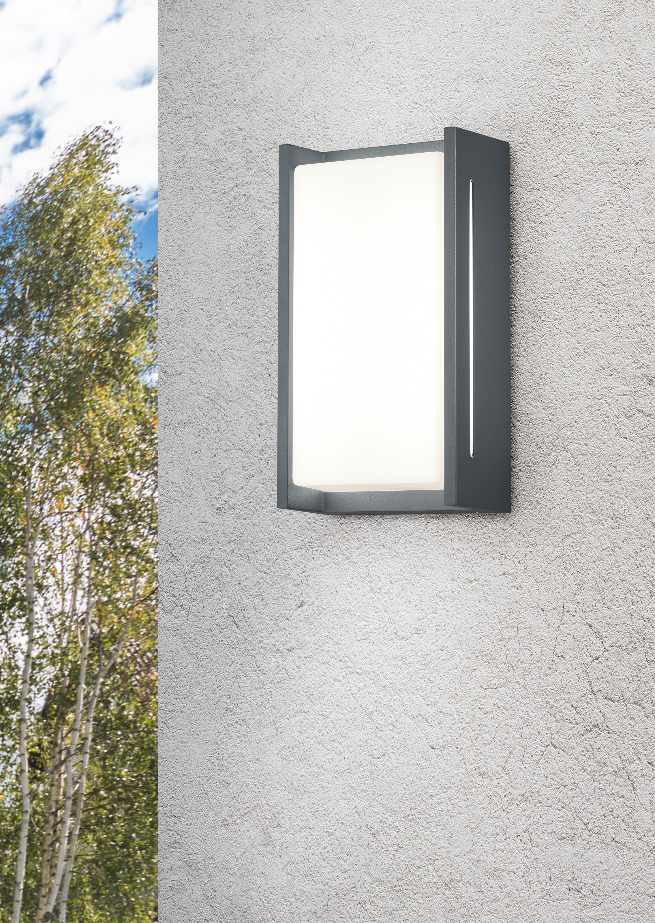TRIO Leuchten LED Außen-Wandleuchte »INDUS«, 1 flammig-flammig, Wandleuchte Hauswand IP54 Fassadenbeleuchtung warmweiß 3000K, 23x12 cm
